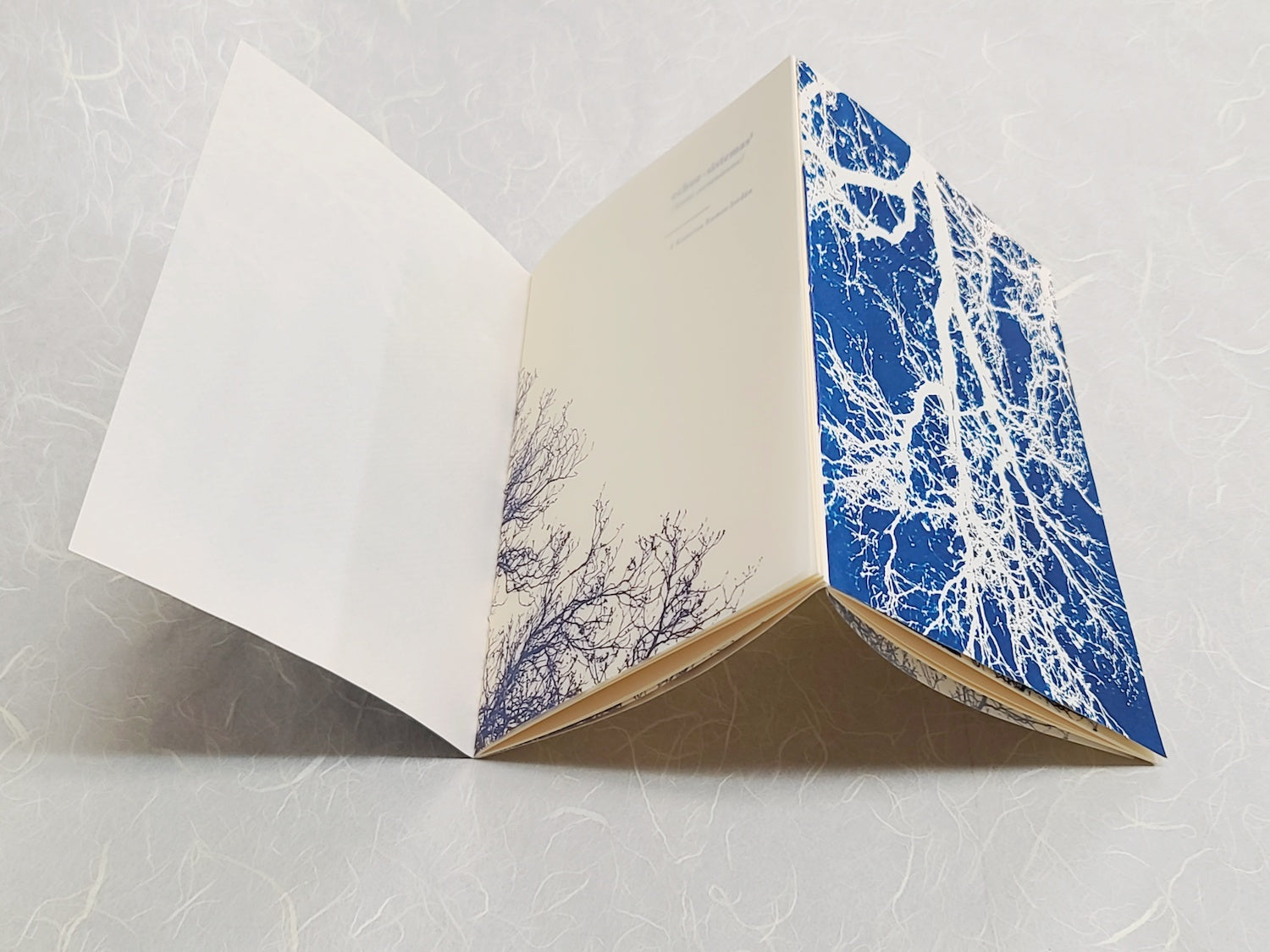 ECHOESISTEMAS /lentos cerramientos image 5