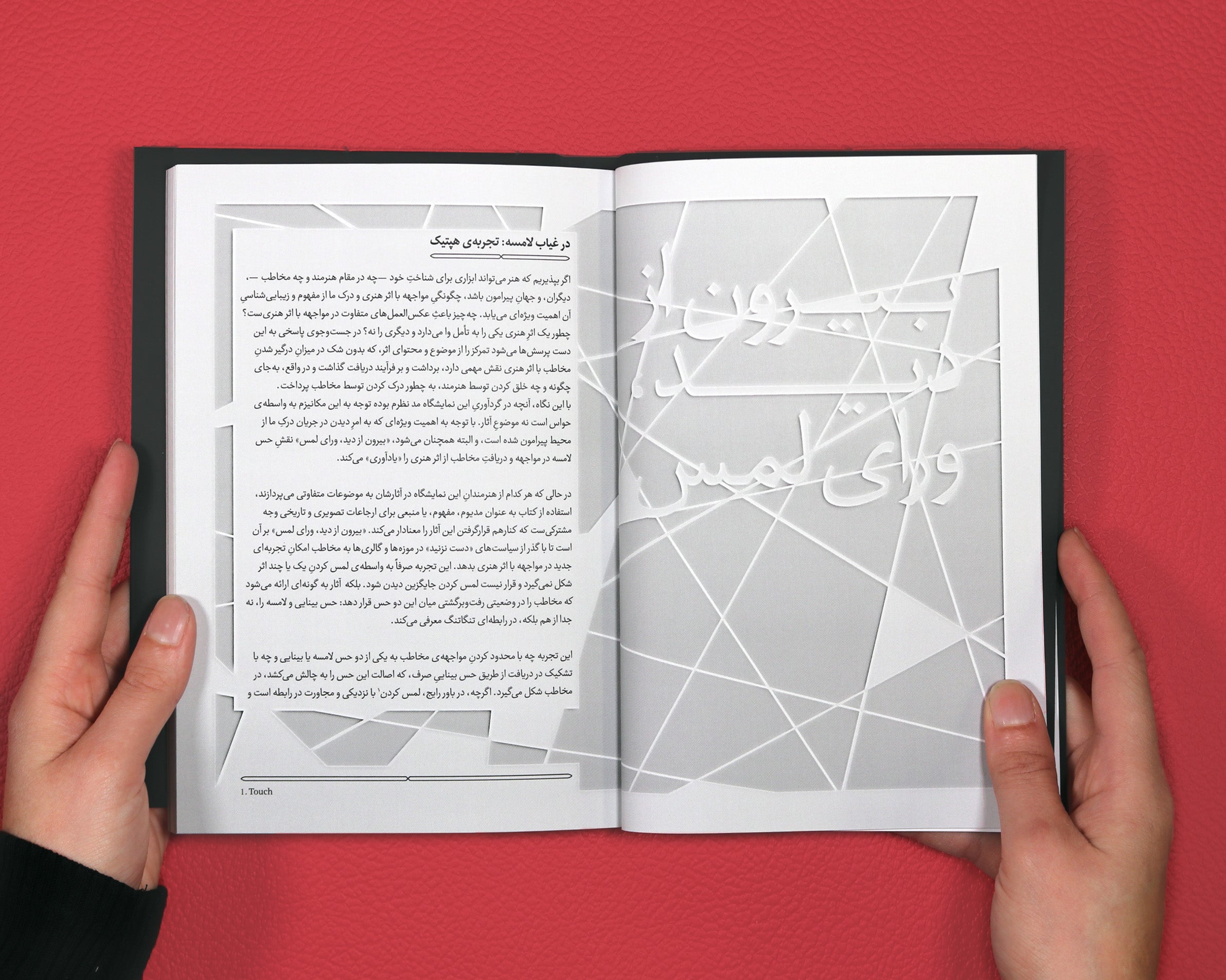 Out of Sight, Beyond Touch image 10