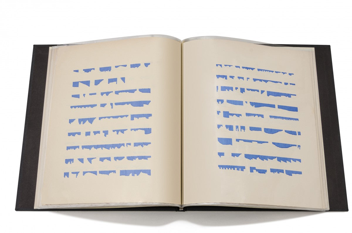 The Illegible Book (Fall 2024) image 1