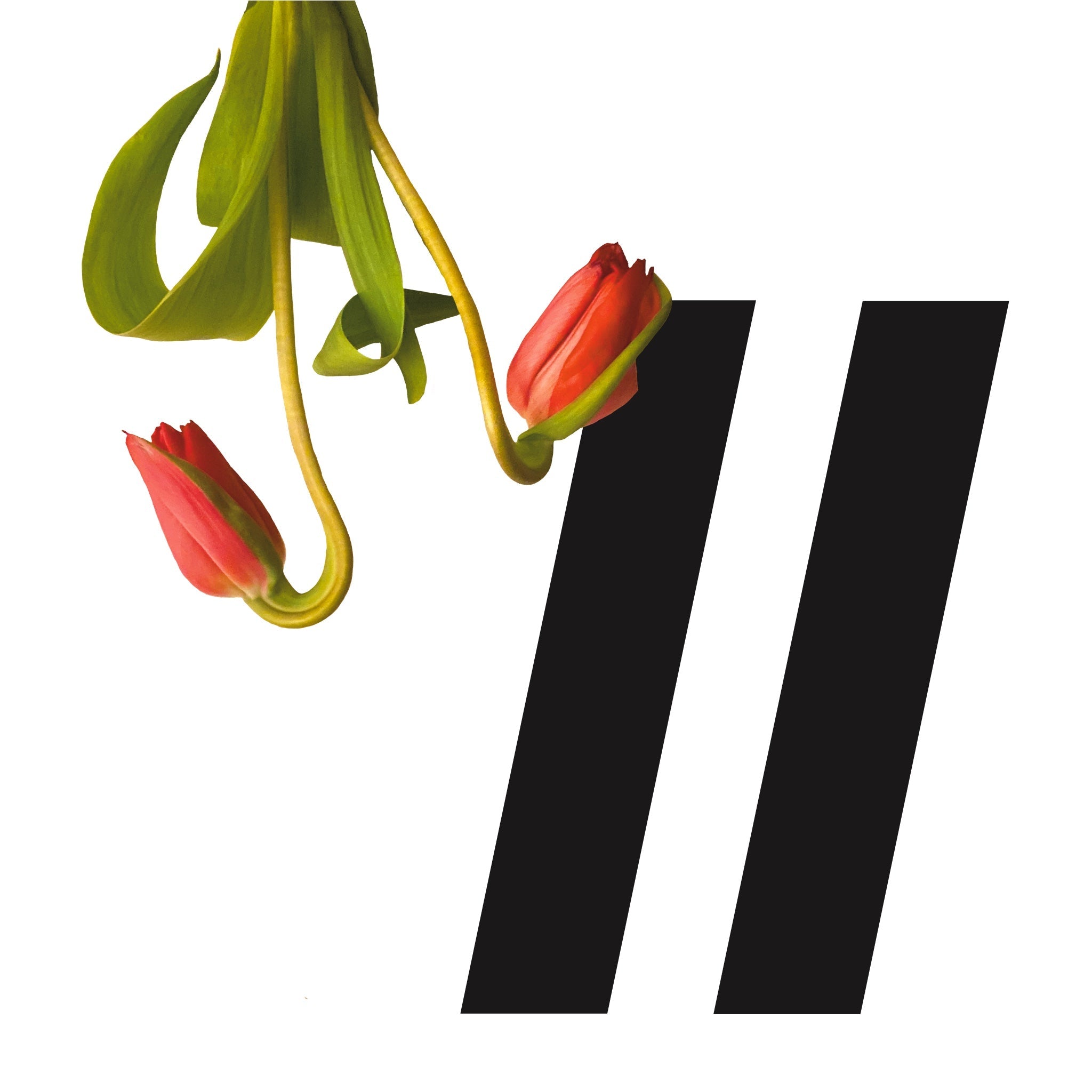 Betwixt. Spring 2022 Broadside Reading Series II image 0