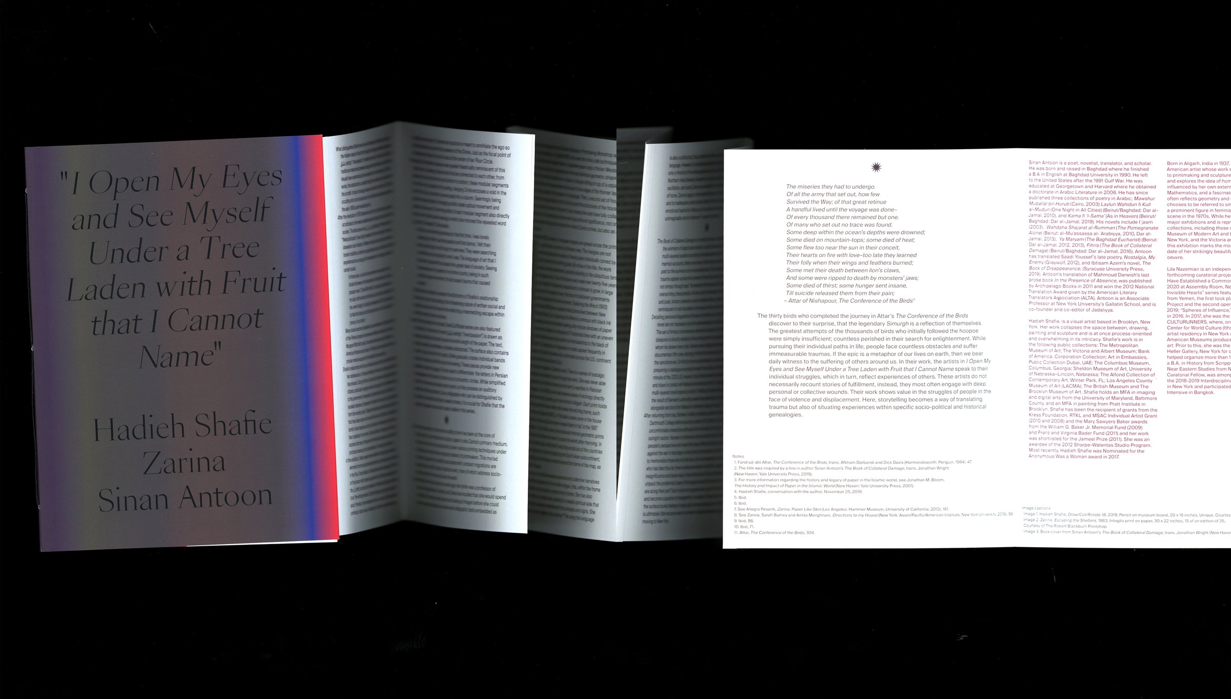 "I open my eyes and see myself under a tree laden with fruit that I cannot name." image 2