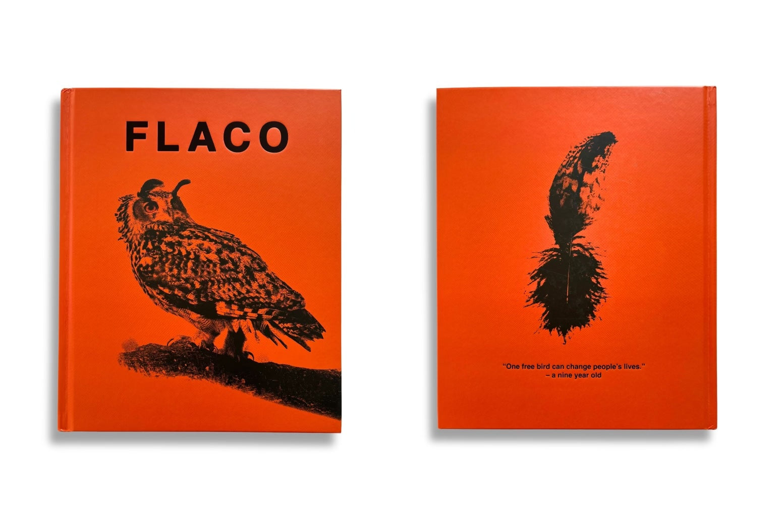 Flaco: A Double Book Launch image 1