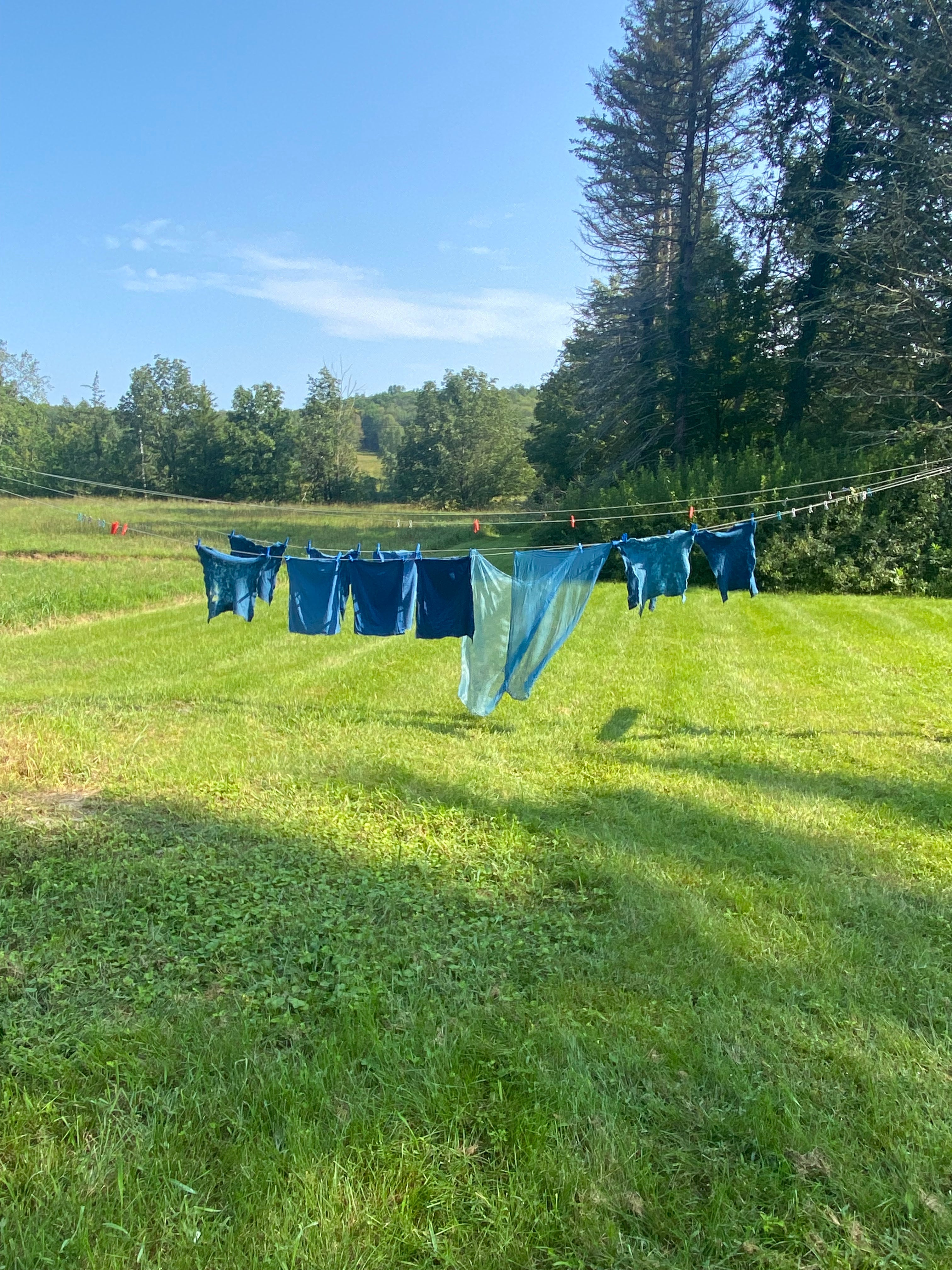 Plant-Based Primaries: Intro to Natural Dye Applications on Paper and Fabric image 1