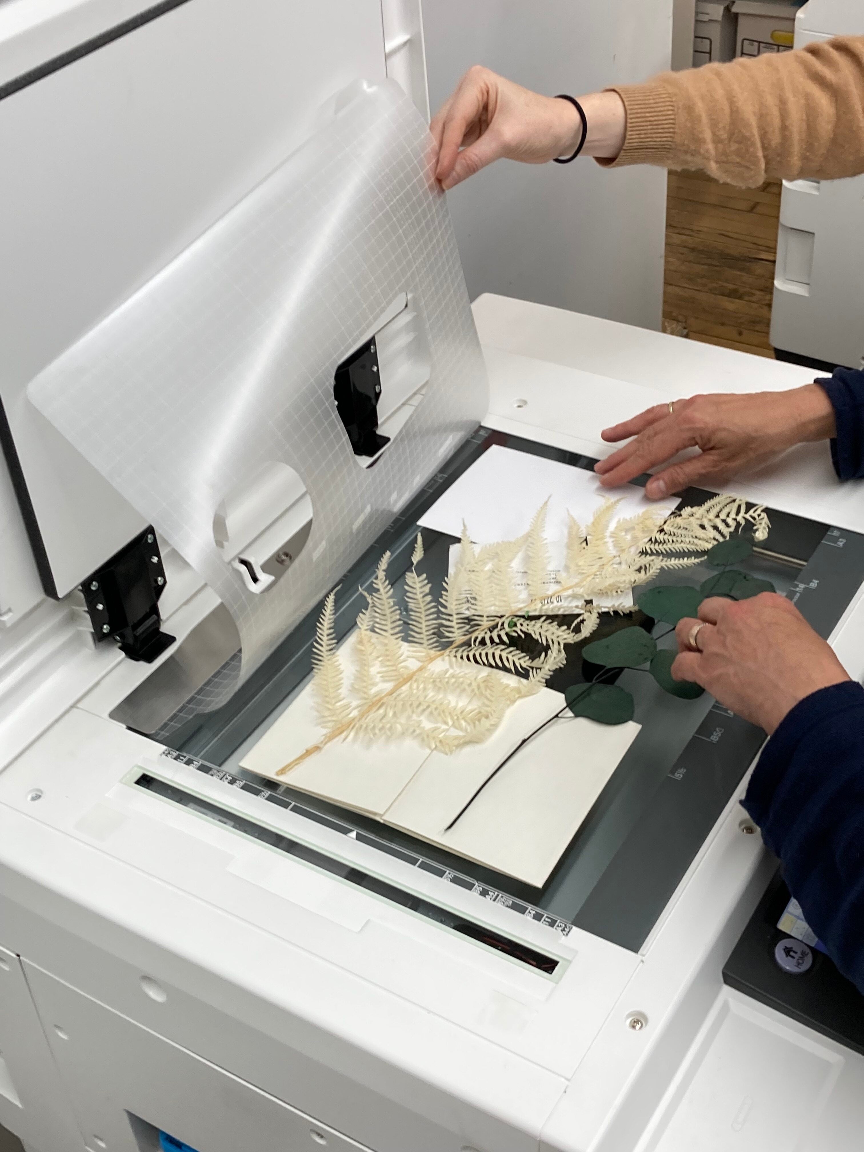 Riso I: Foundations of Risograph Printing – Center for Book Arts