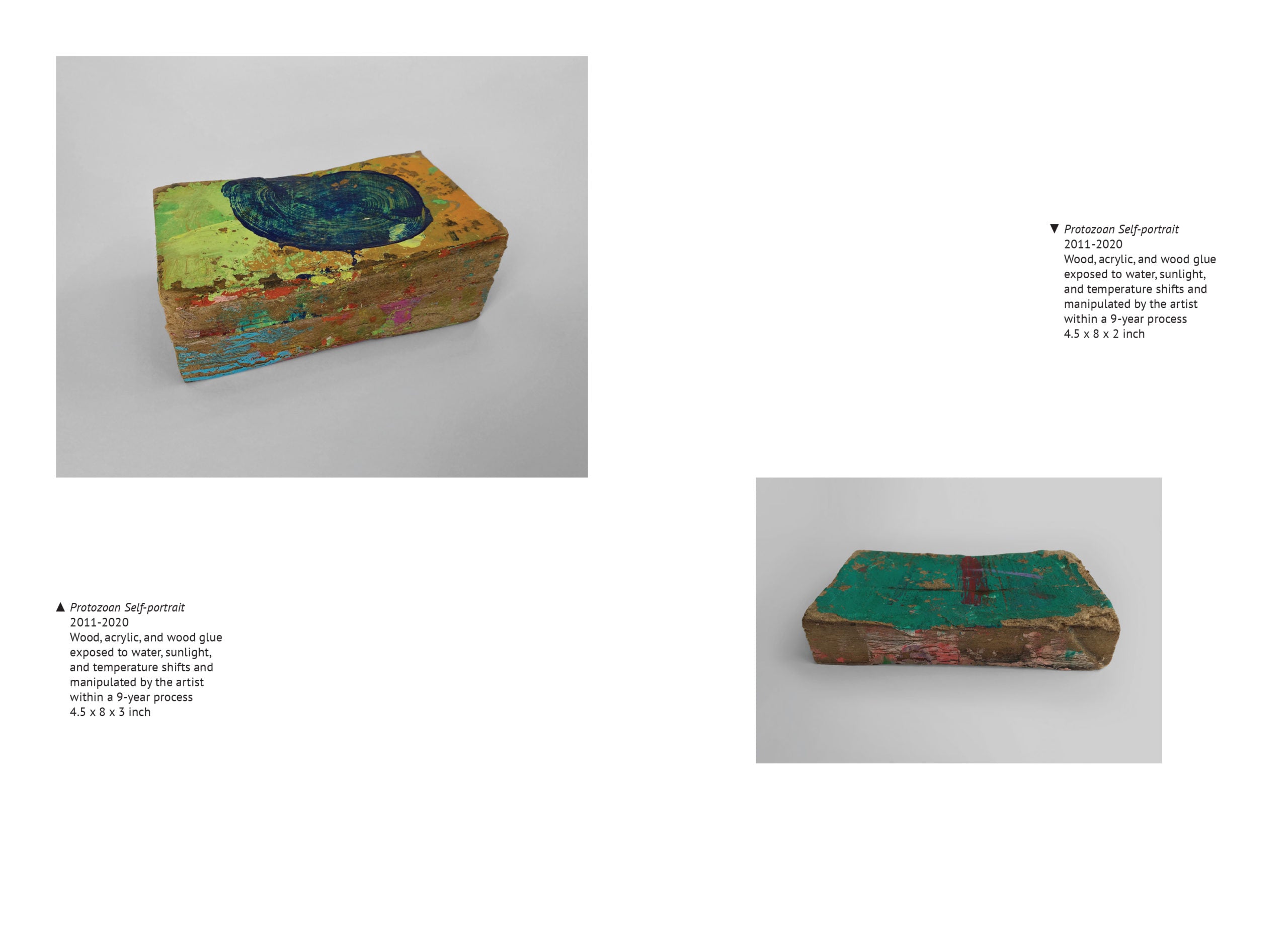 Out of Sight, Beyond Touch image 9