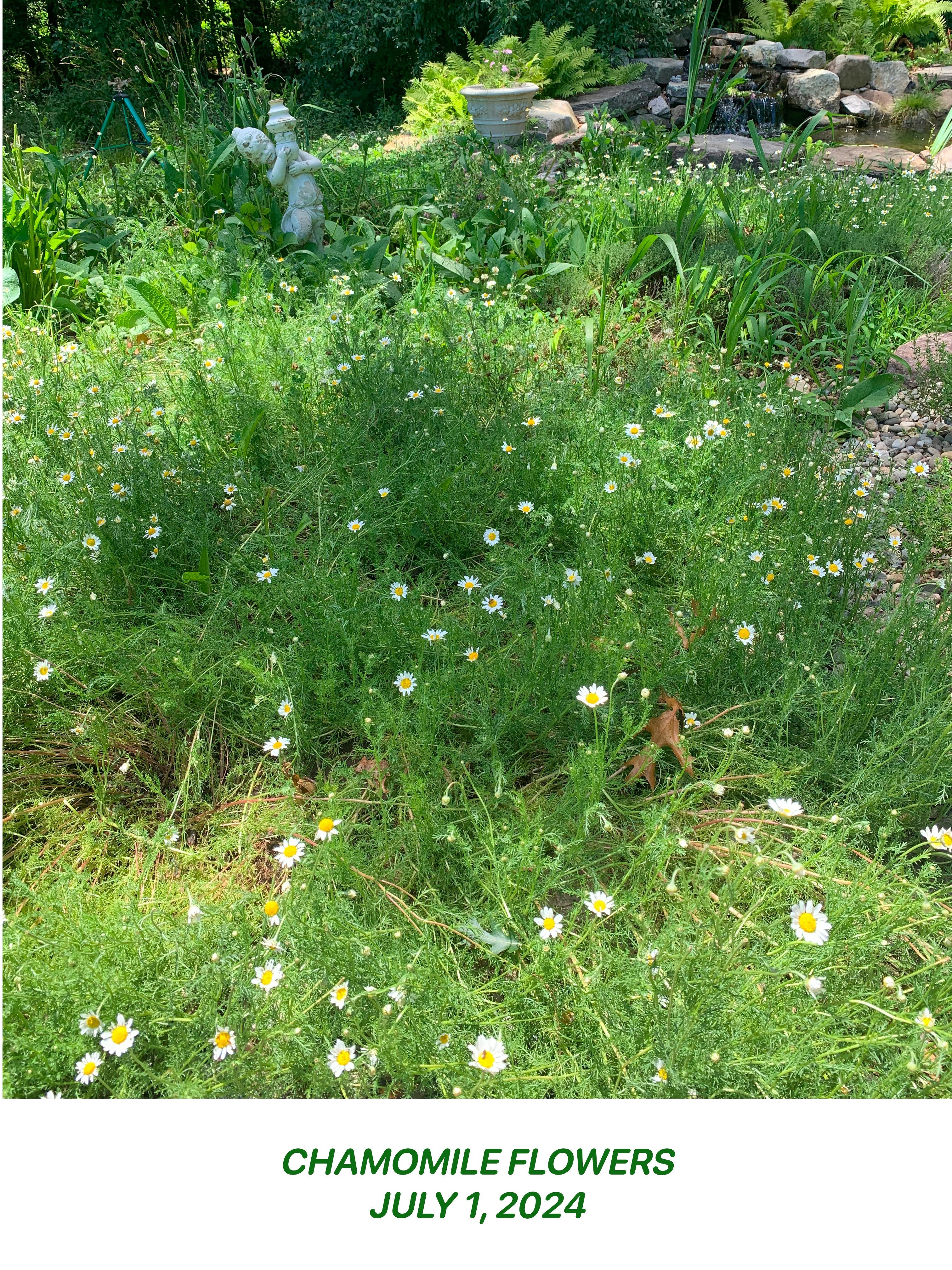 Artists’ Book as Archive image 1