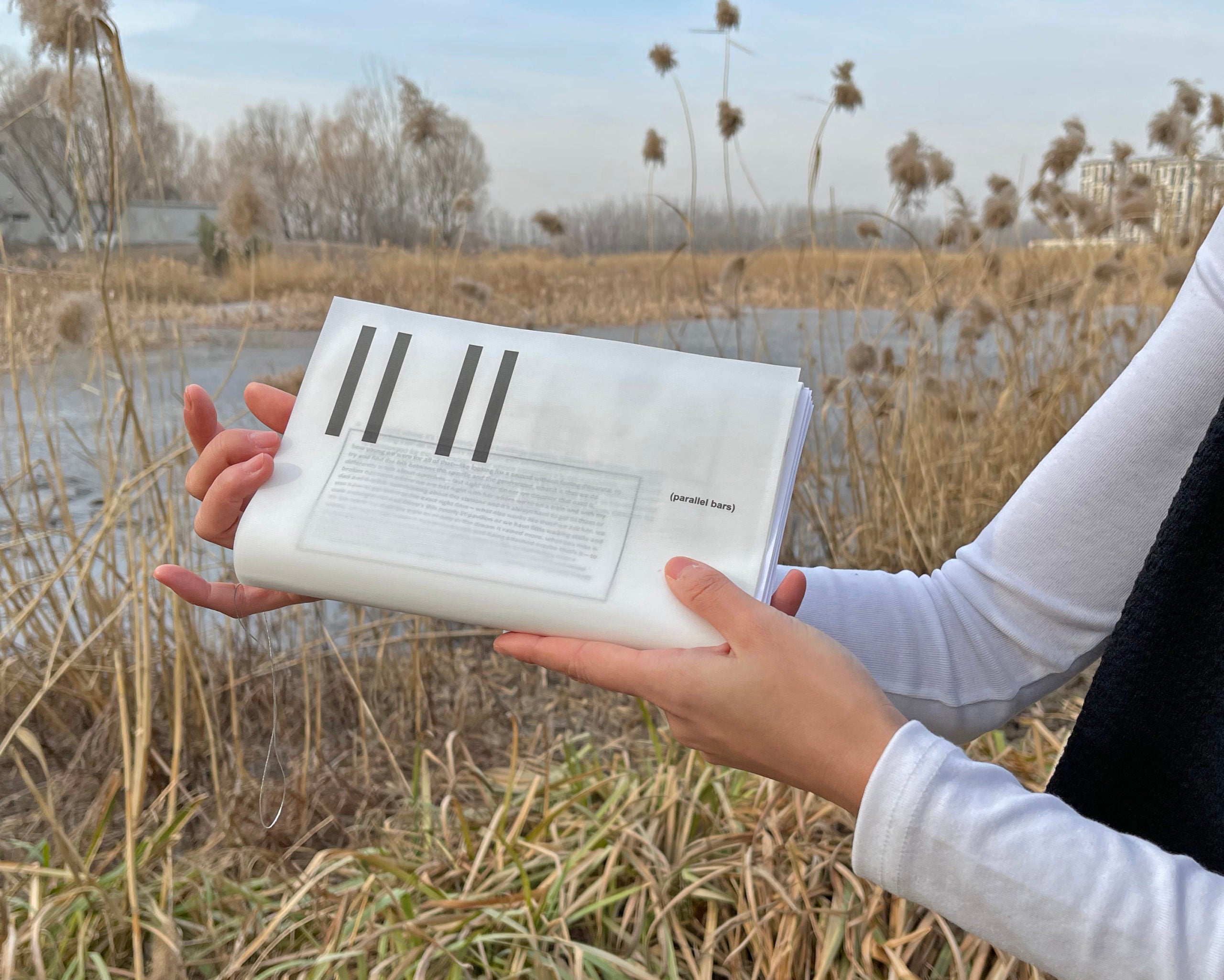 Parallel Bars image 0