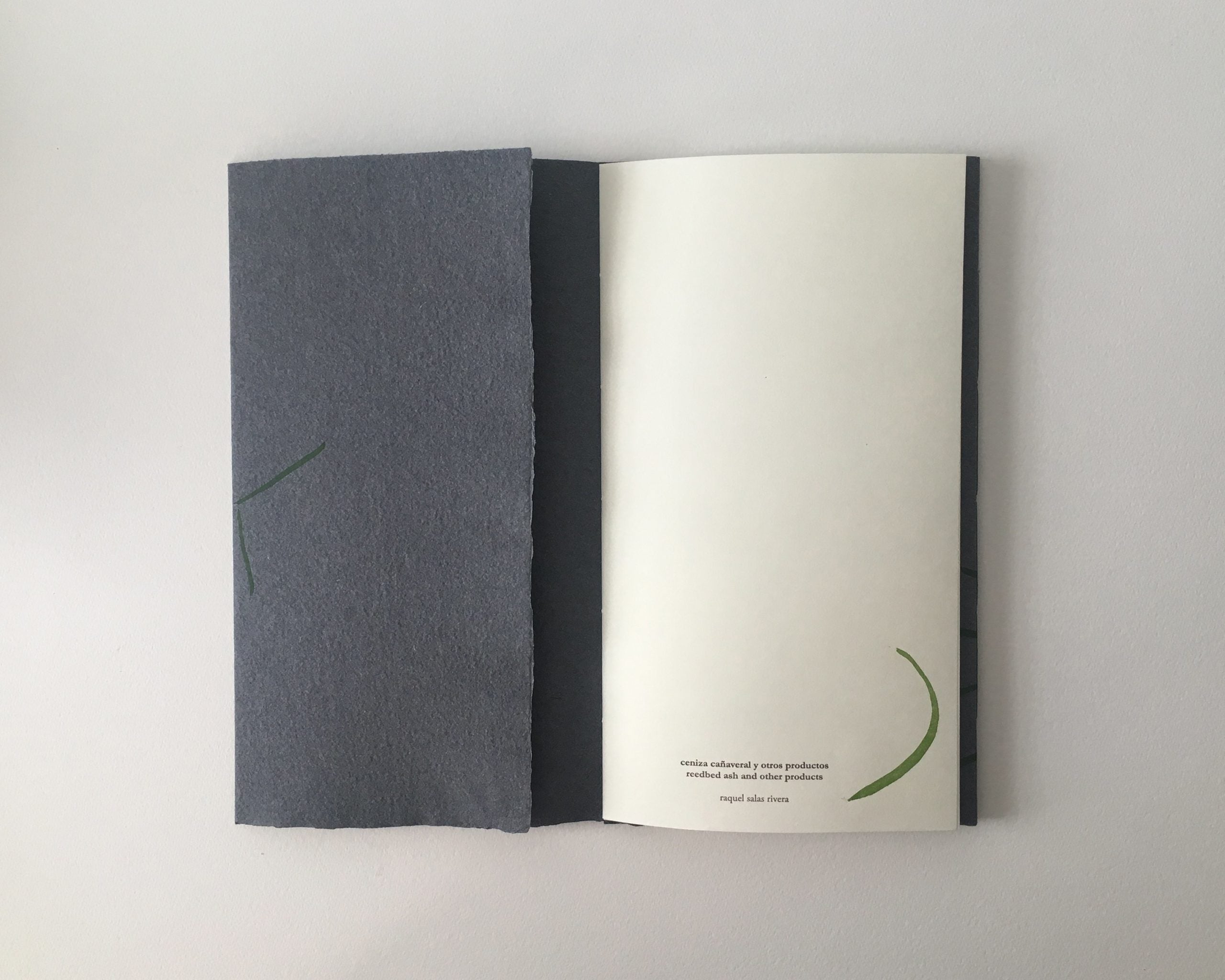 ceniza cañaveral y otros productos (reedbed ash and other products) image 1