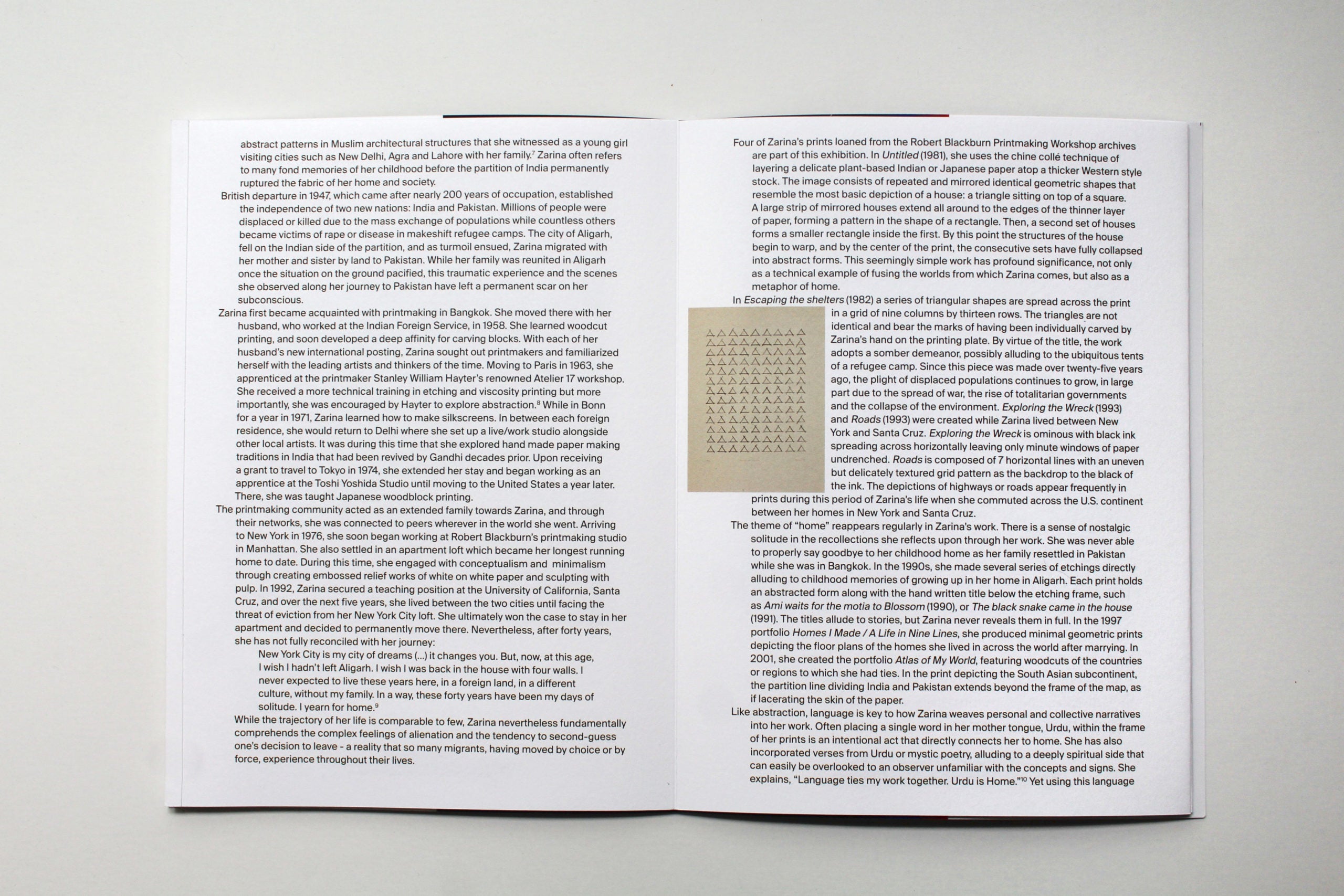 "I open my eyes and see myself under a tree laden with fruit that I cannot name." image 5