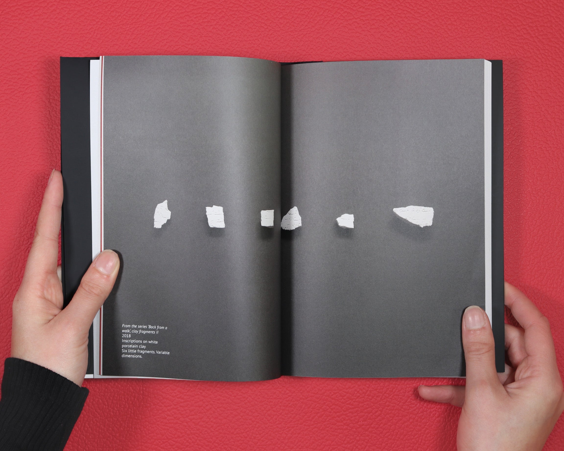 Out of Sight, Beyond Touch image 7