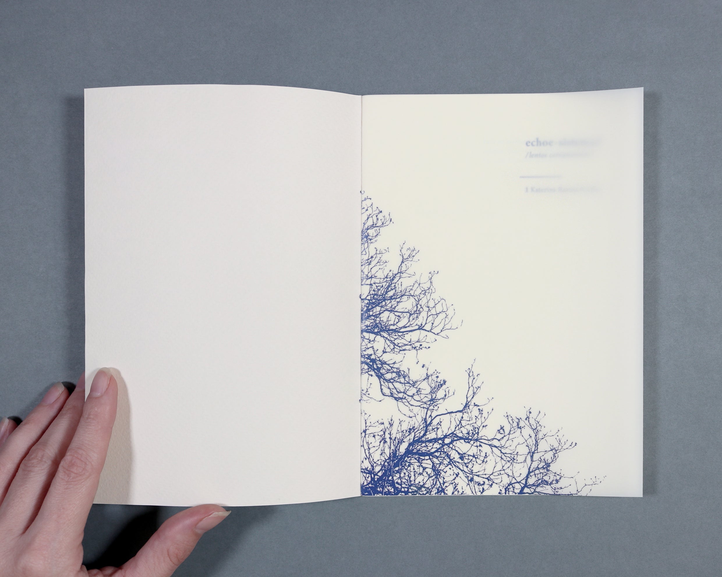 ECHOESISTEMAS /lentos cerramientos image 3