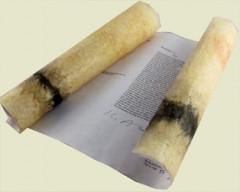 Another Day on Earth image 0