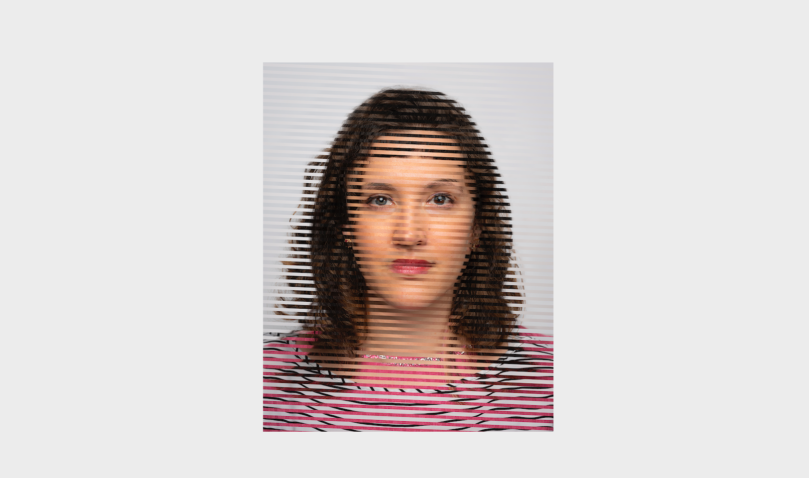 Curators' Talk: Americans Looking In image 0