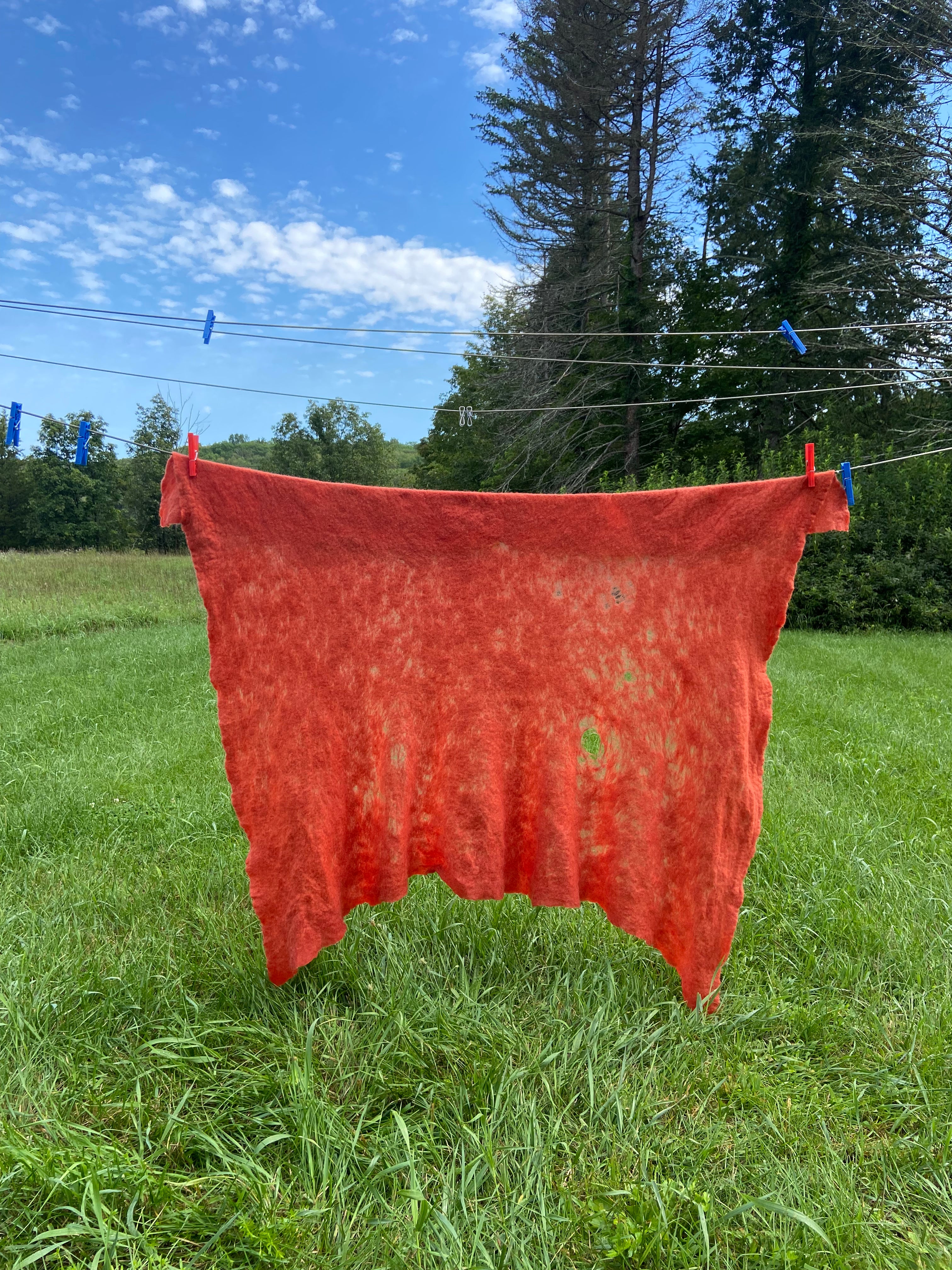 Plant-Based Primaries: Intro to Natural Dye Applications on Paper and Fabric image 0