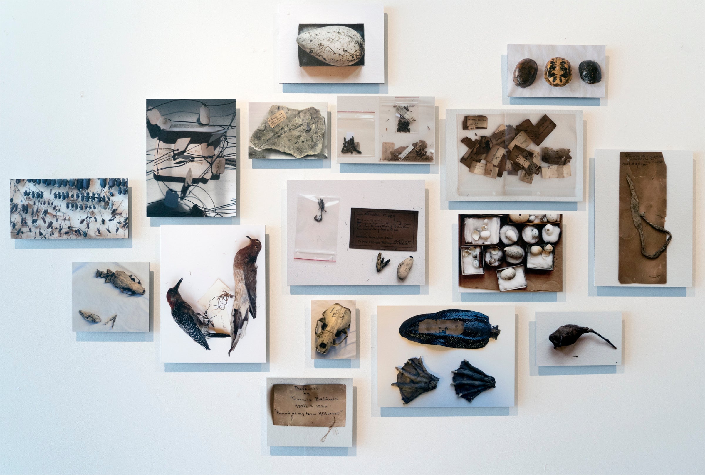 Spring 2021 Exhibitions: Reserve Your Visit image 0