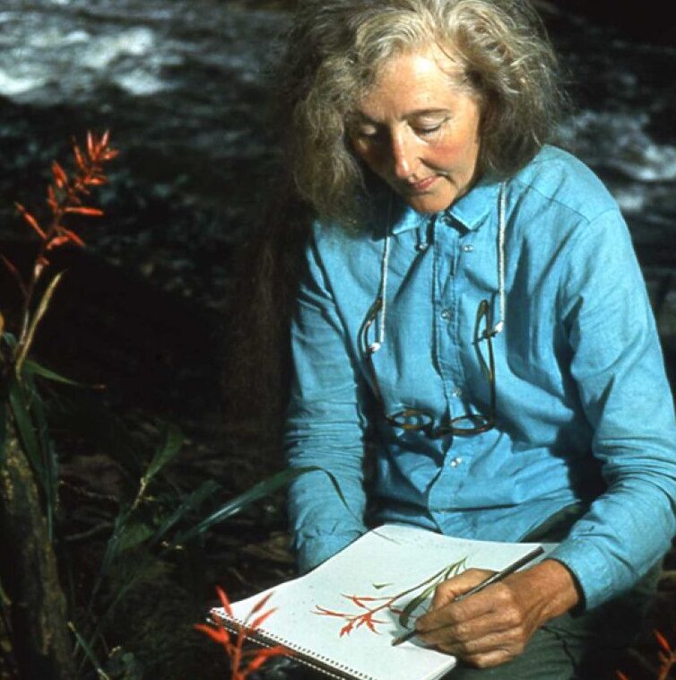 Members-Only Workshop: Botanical Storytelling with Oreades Press image 0