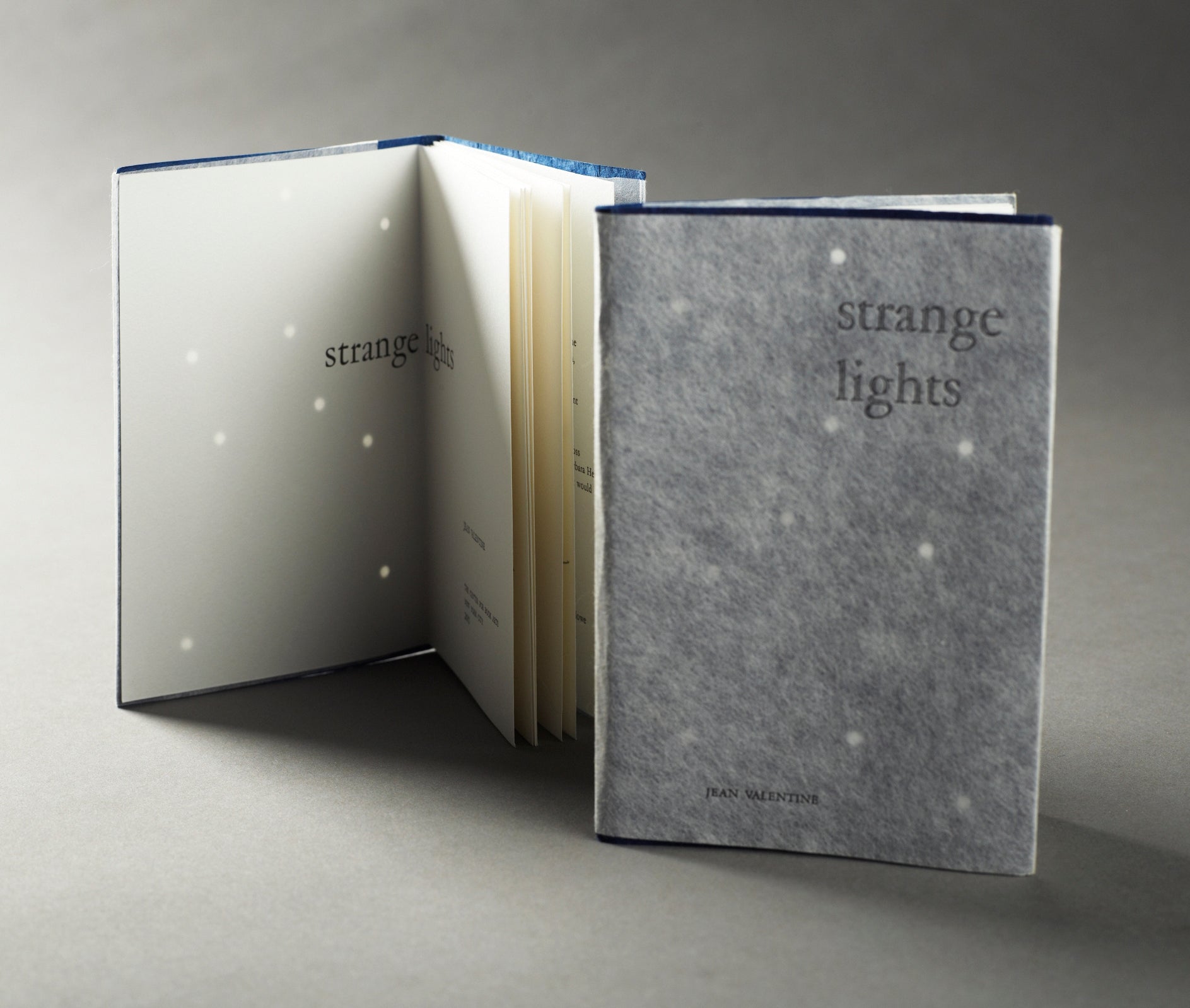 Letterpress IV: Printing for Book Production (Fall 2024) image 3