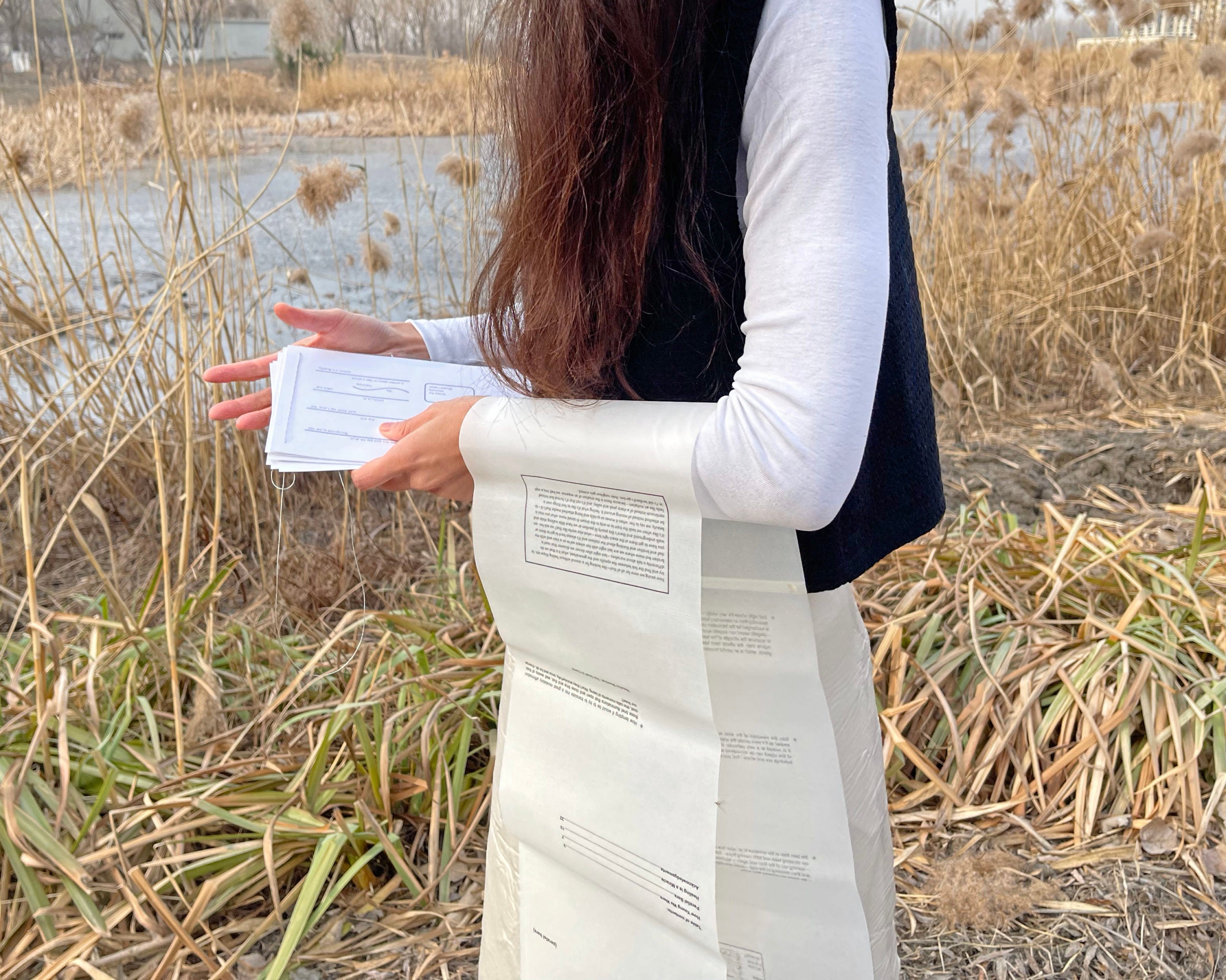 Parallel Bars image 2