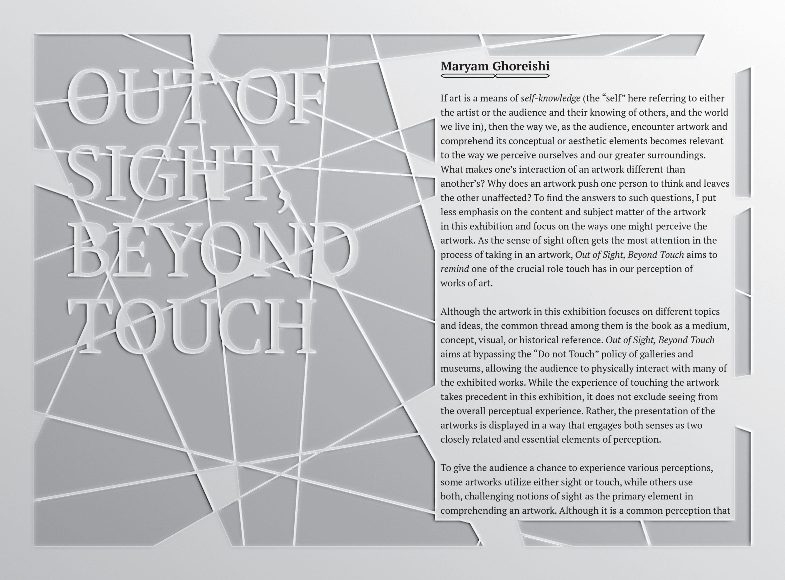 Out of Sight, Beyond Touch image 3