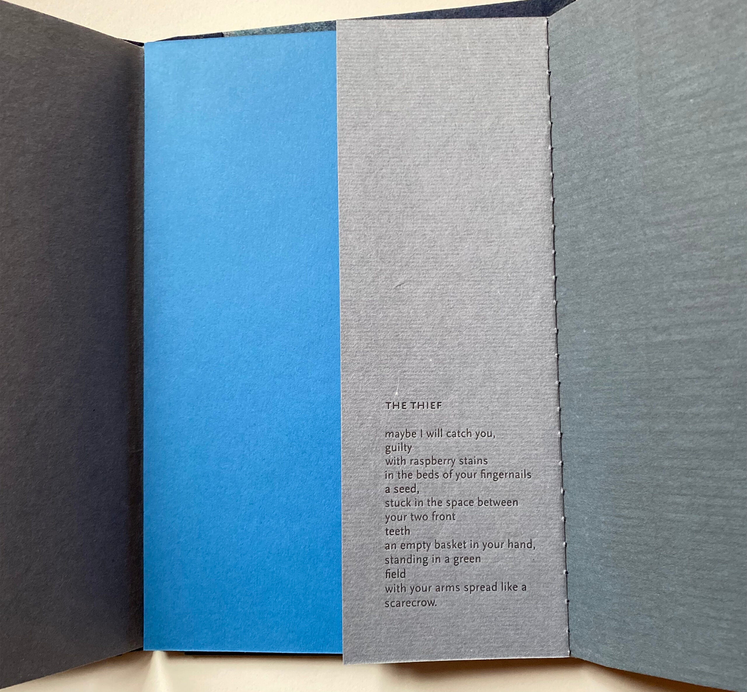 Letterpress IV: Printing for Book Production (Fall 2024) image 7