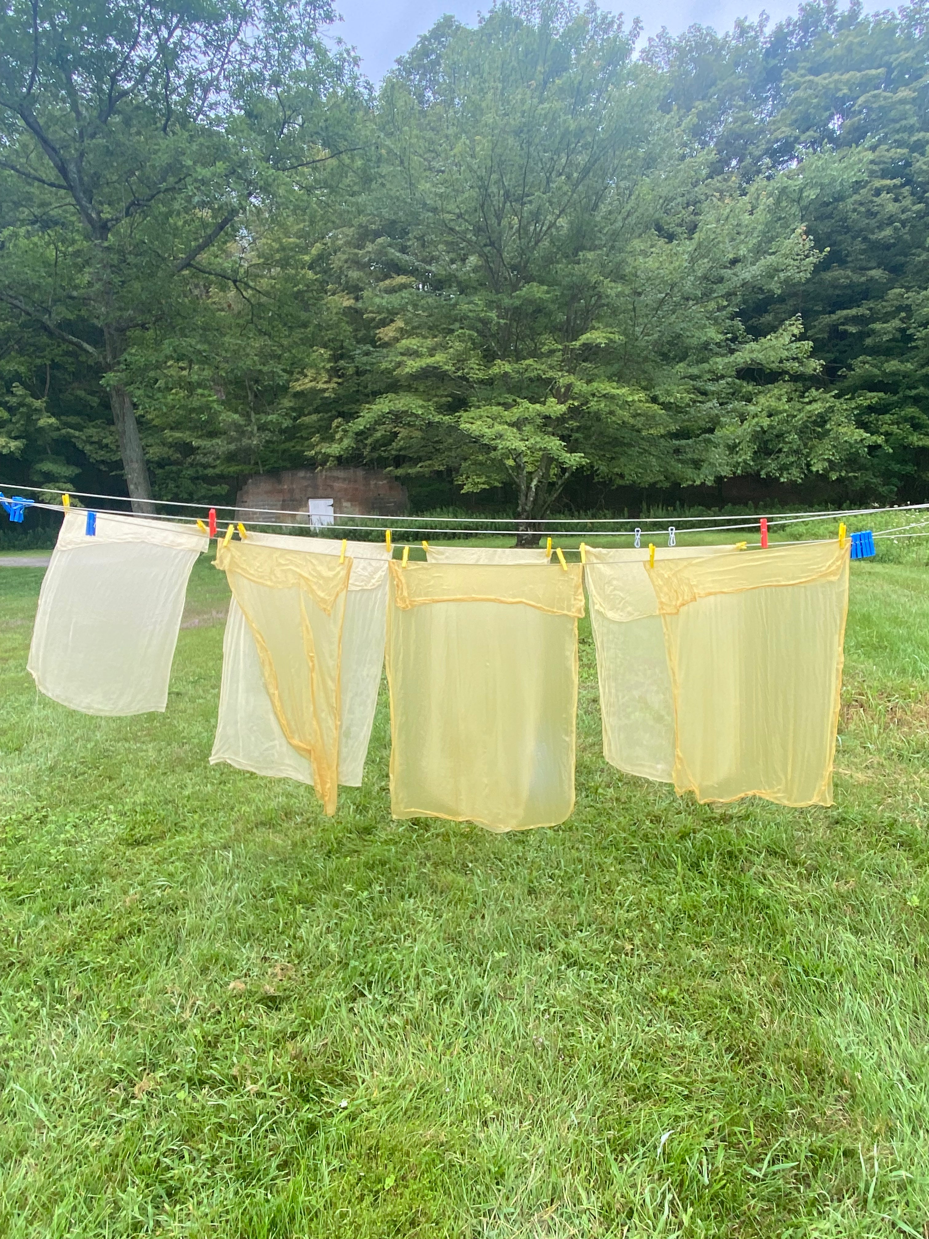 Plant-Based Primaries: Intro to Natural Dye Applications on Paper and Fabric image 2