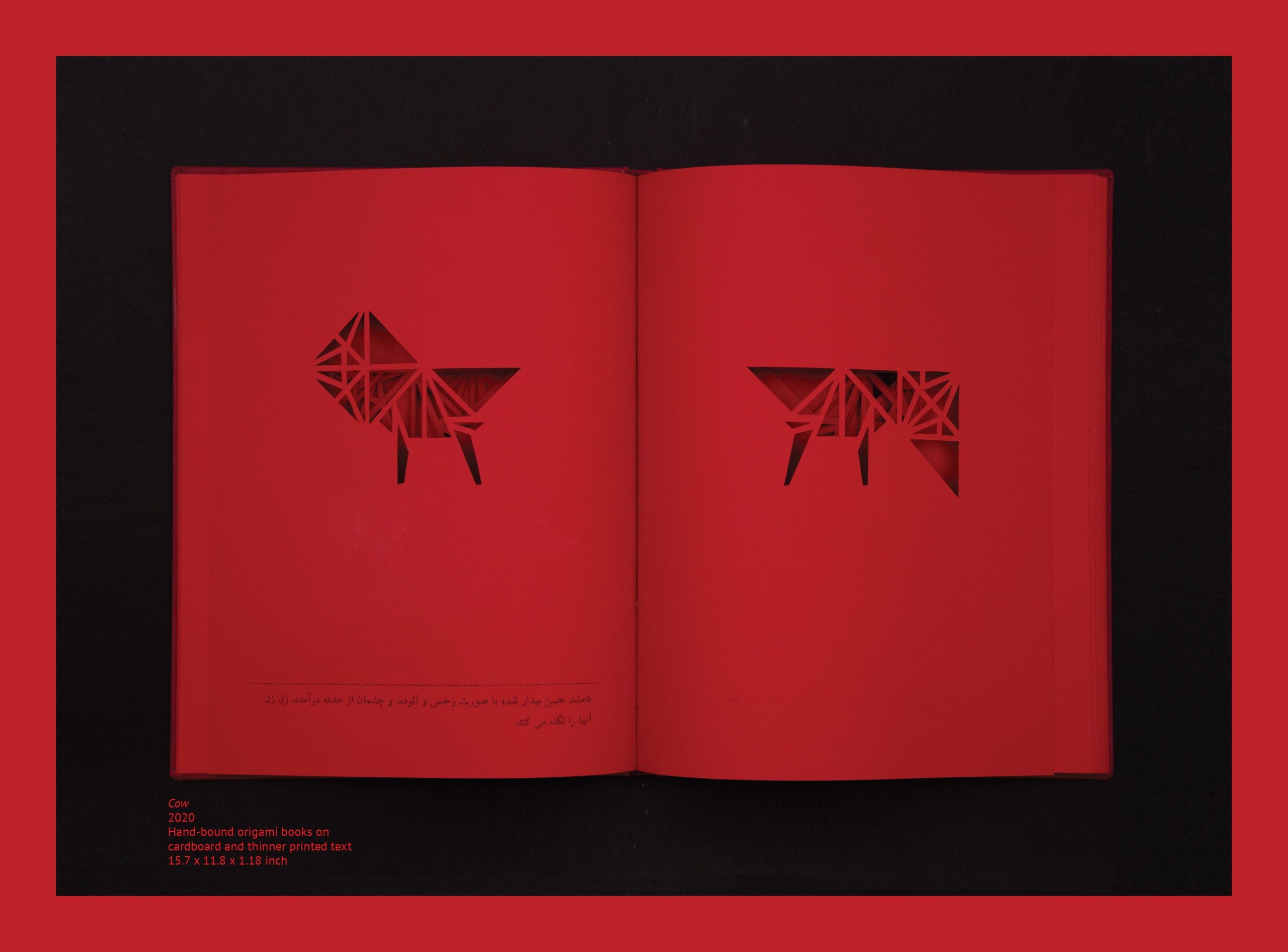 Out of Sight, Beyond Touch image 4