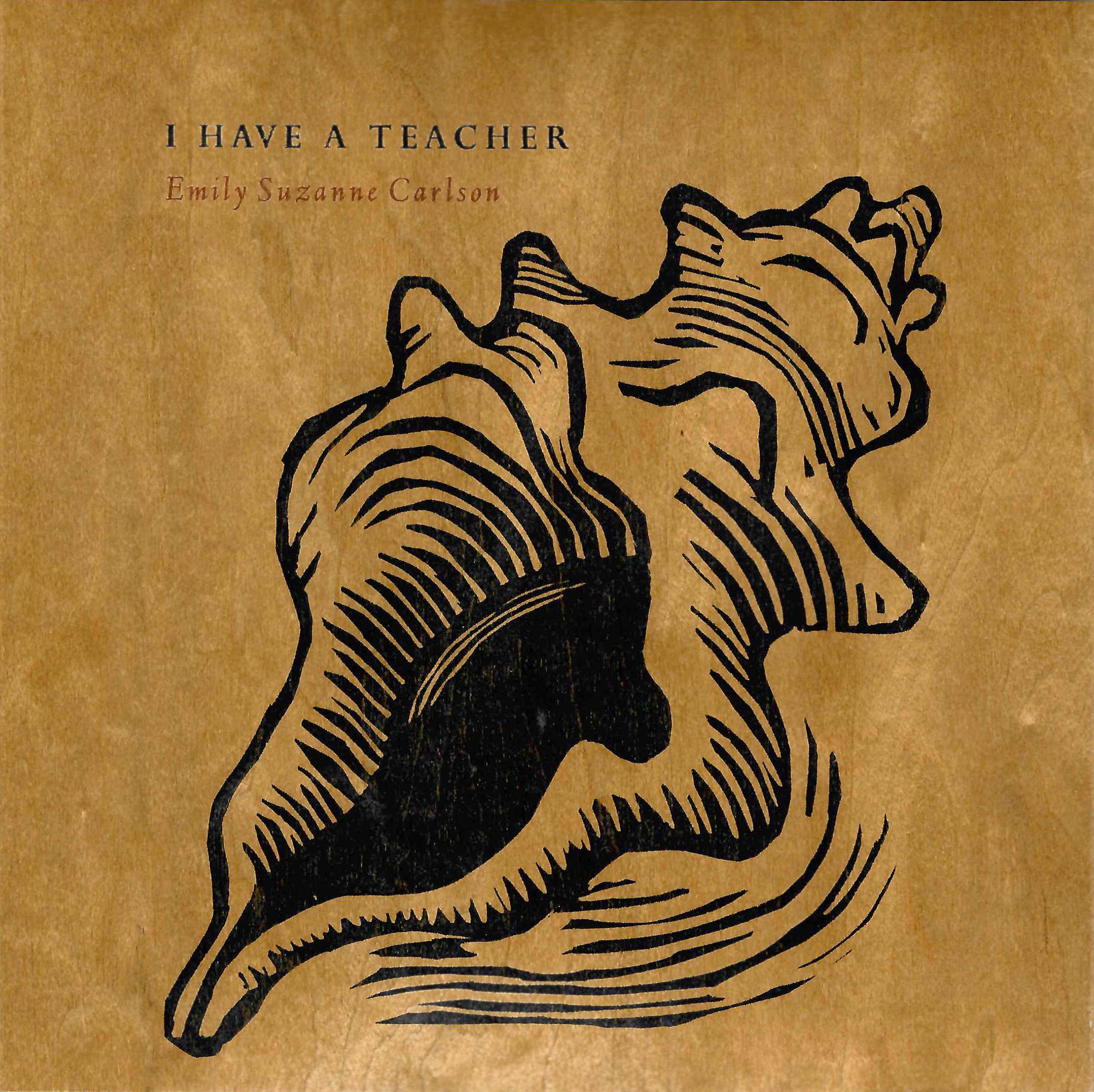 I Have a Teacher image 0