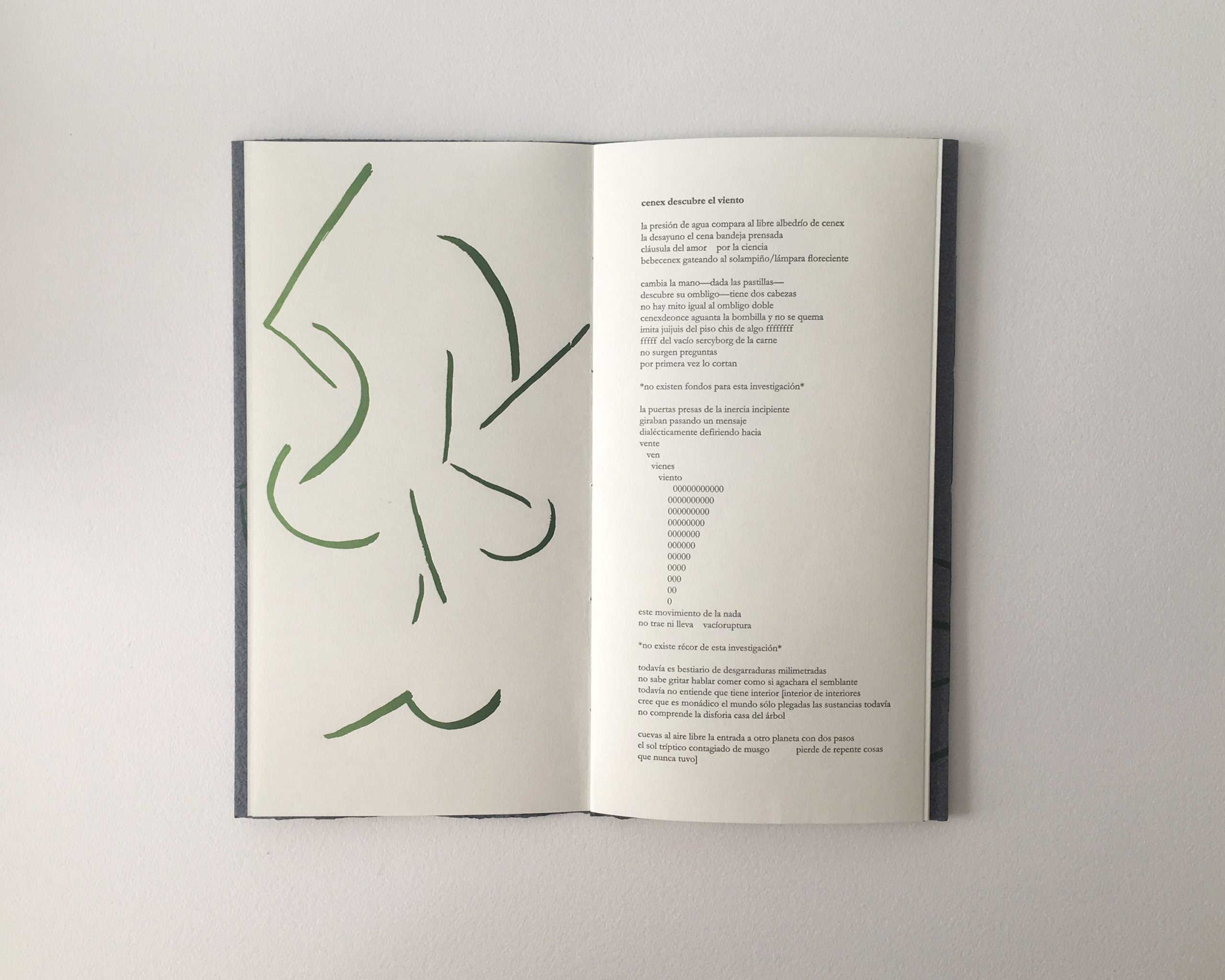 2020 Annual Chapbook Reading image 1