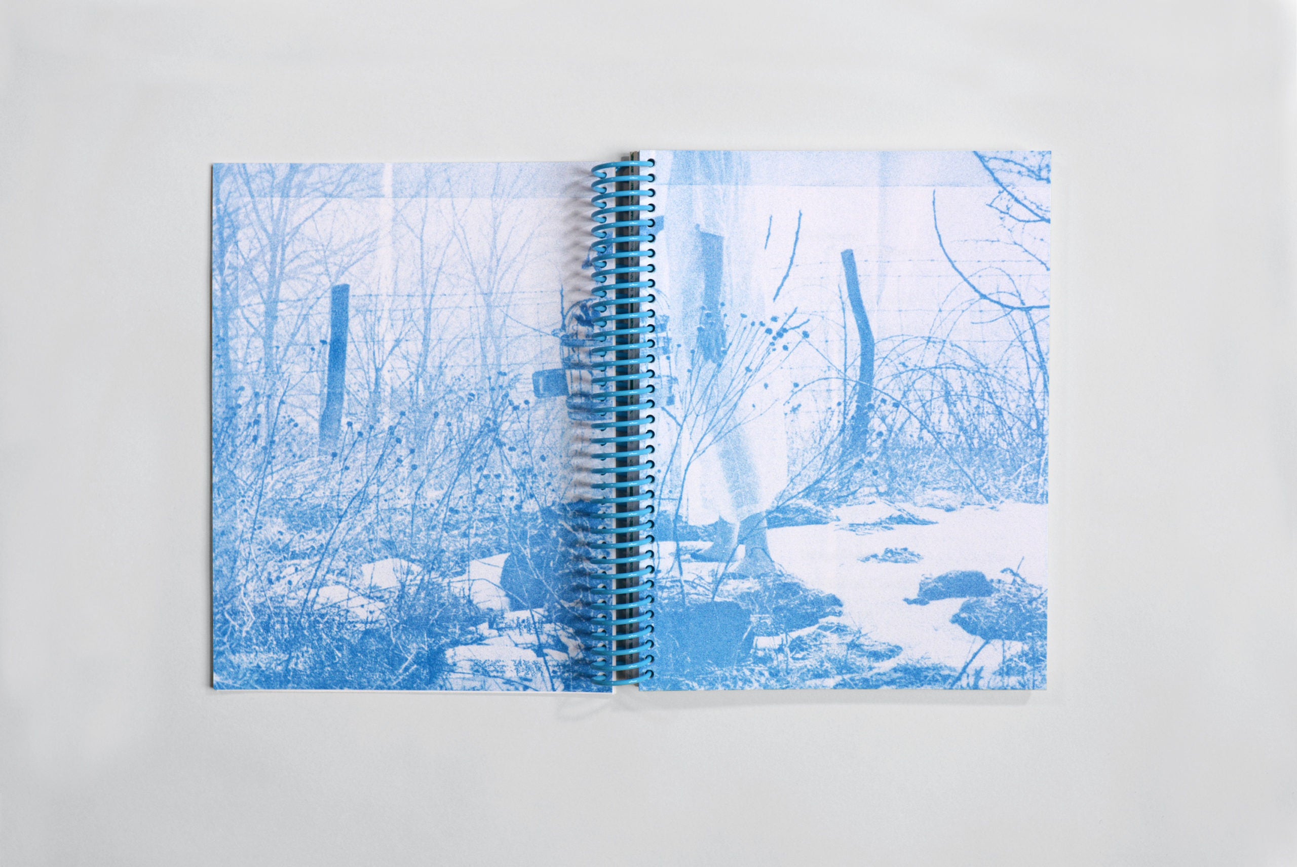 How to Cook a Wolf image 4