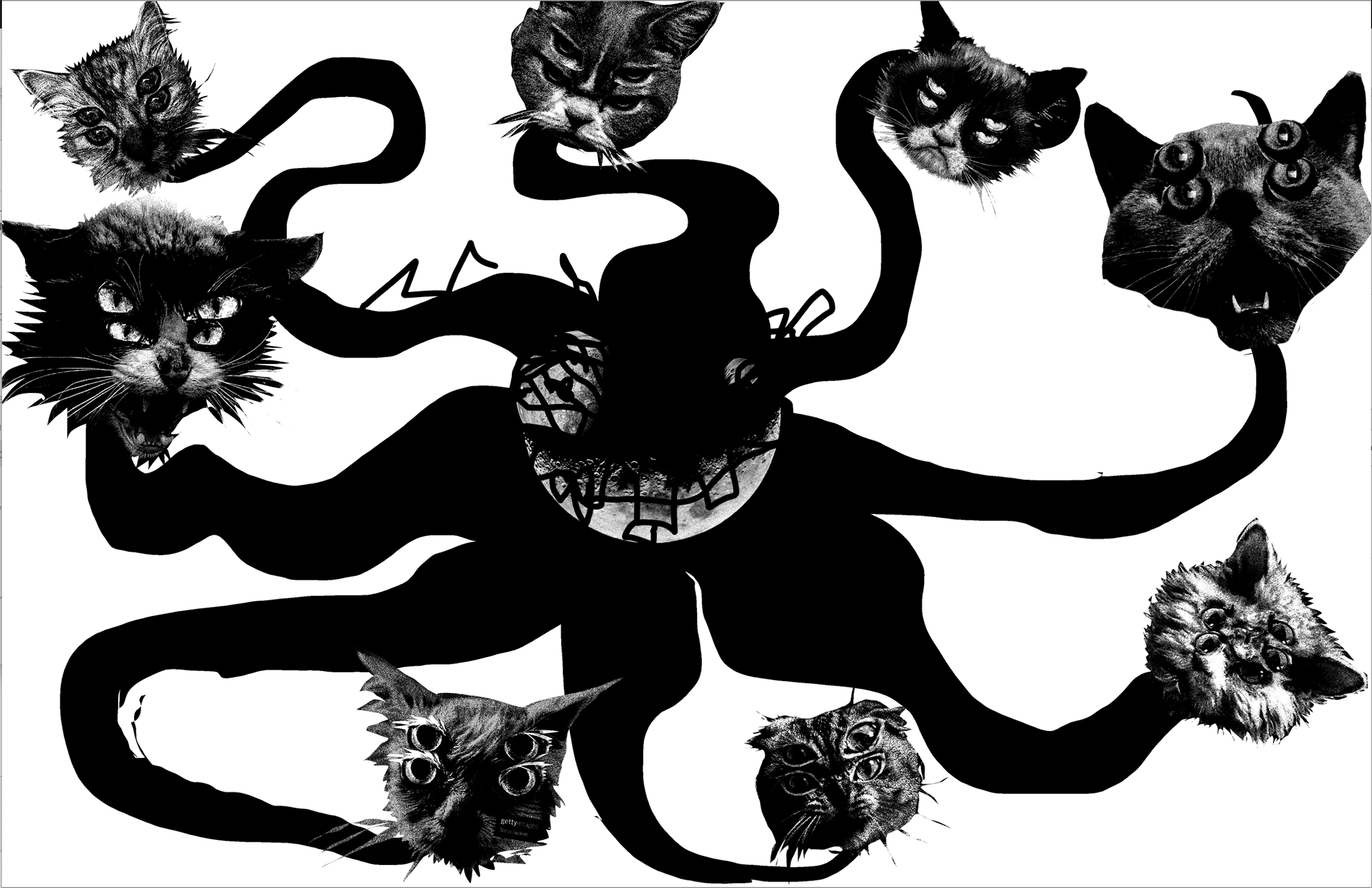 Publisher Talk: Gato Negro Ediciones image 0