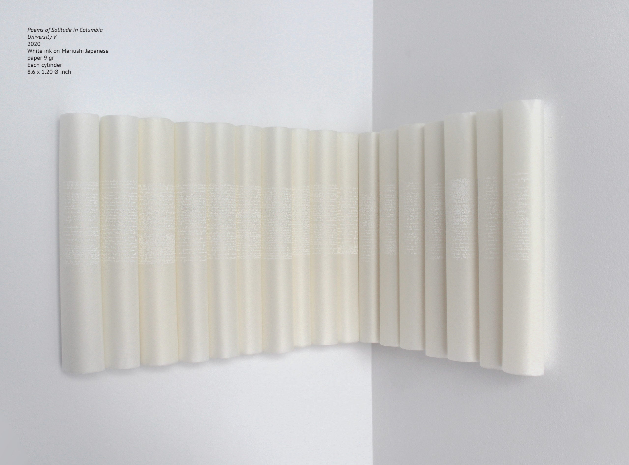 Out of Sight, Beyond Touch image 6