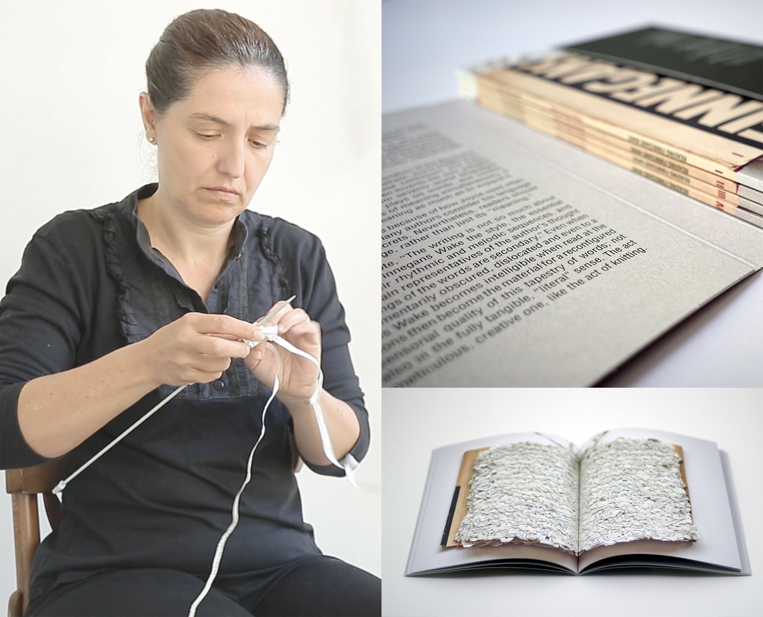 Talking About <i>Reading Finnegans Wake</i> image 0