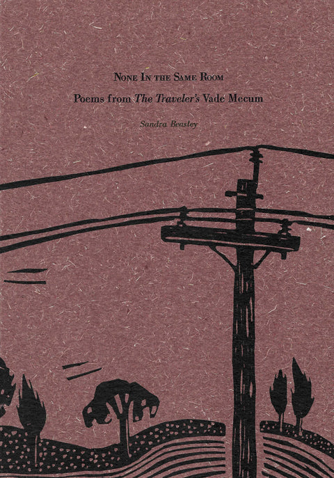 None in the Same Room image 0