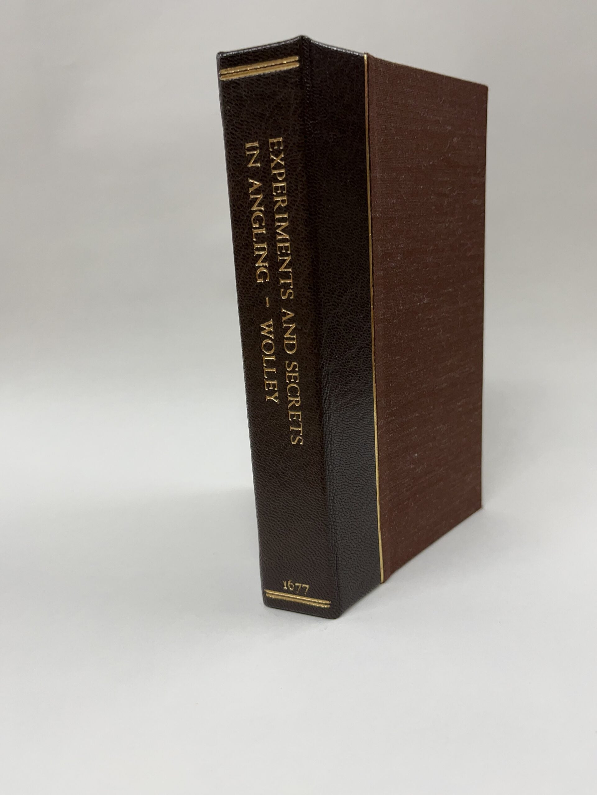 Clamshell Boxes (Fall 2024) image 1