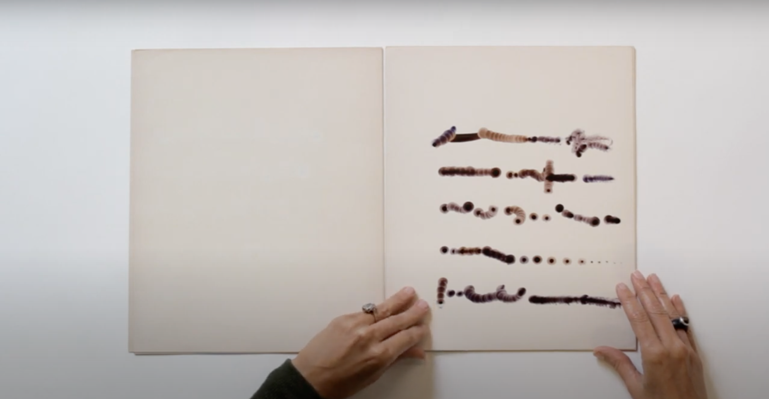 The Illegible Book image 0