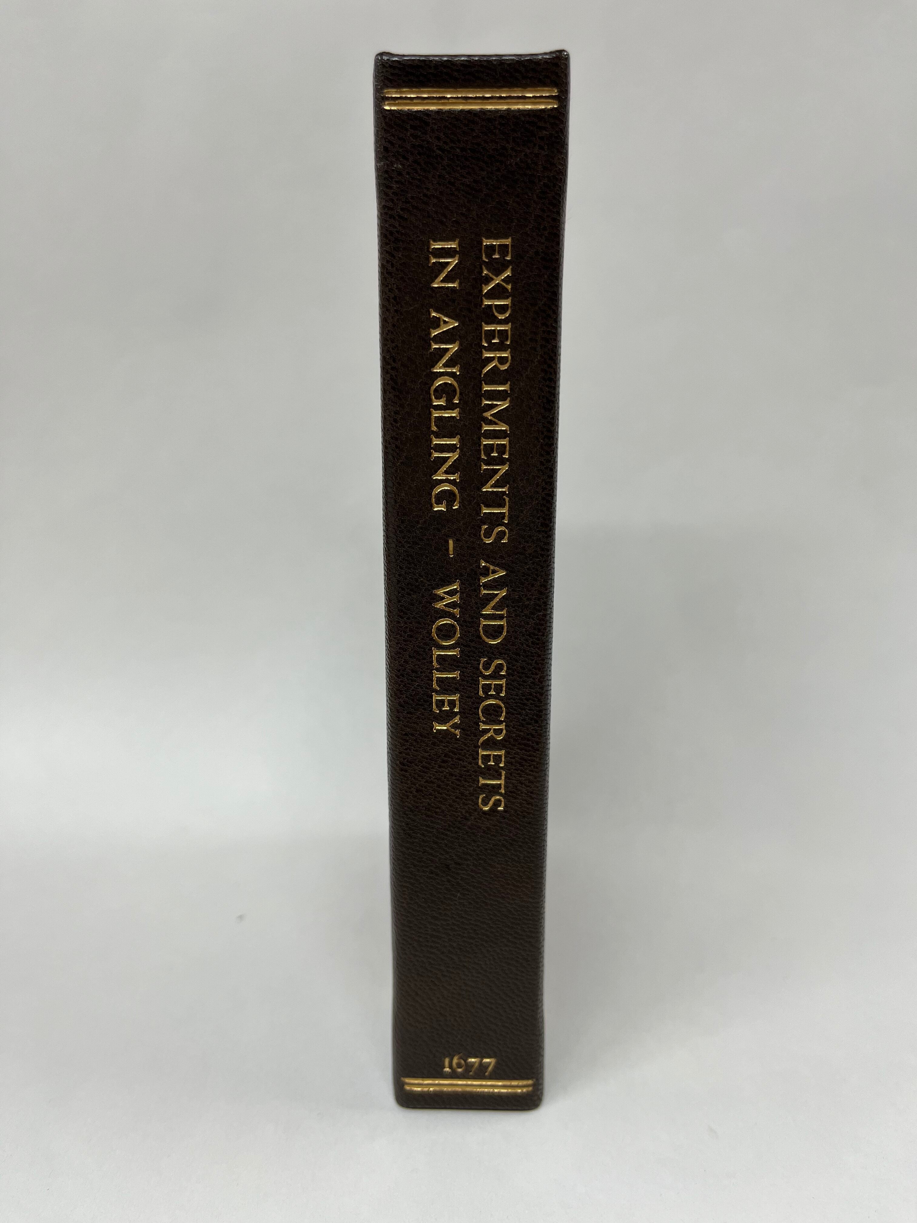 Clamshell Boxes (Fall 2024) image 5