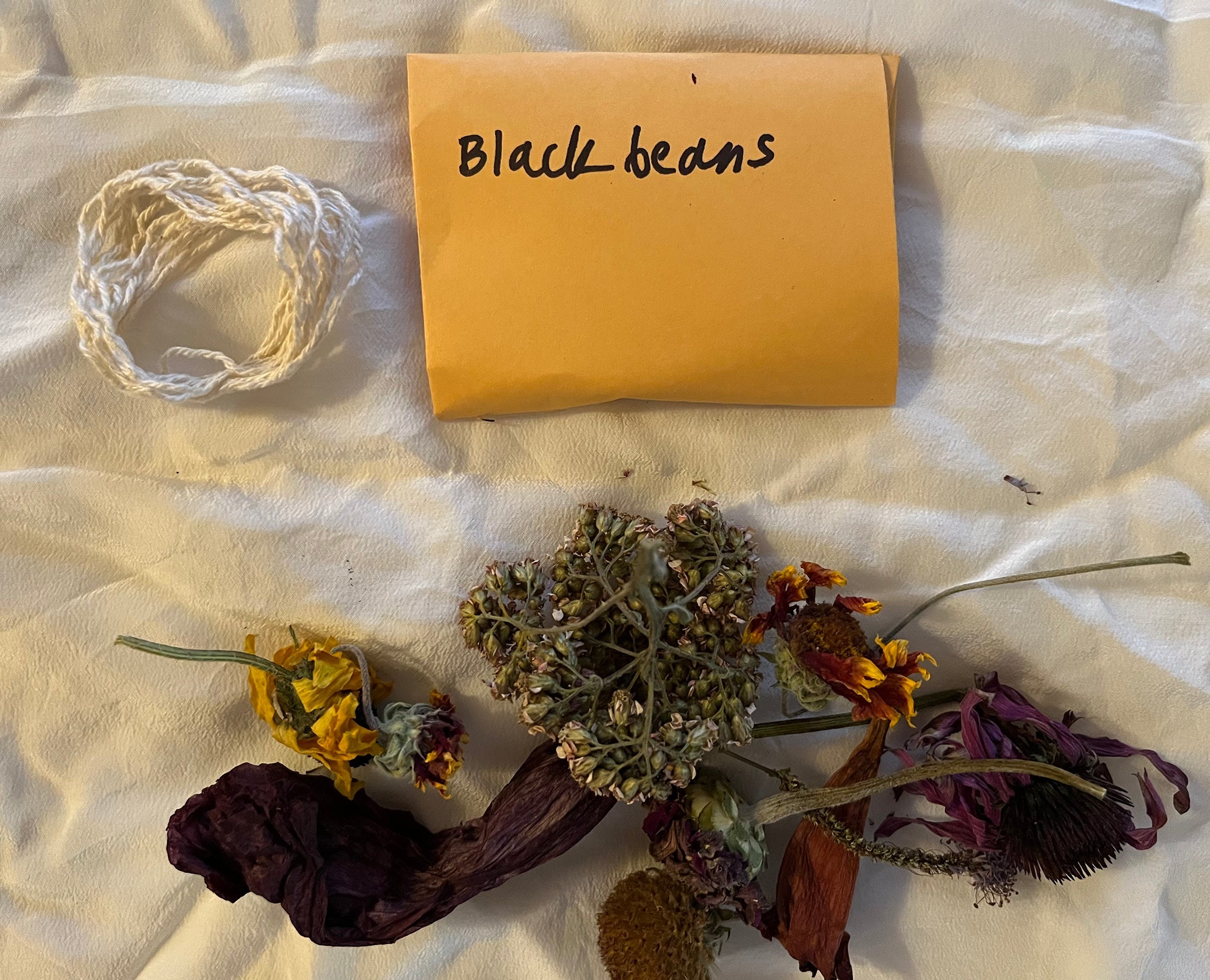 Fiber Arts as Book Arts: Natural Dyeing (Fall 2024) image 4