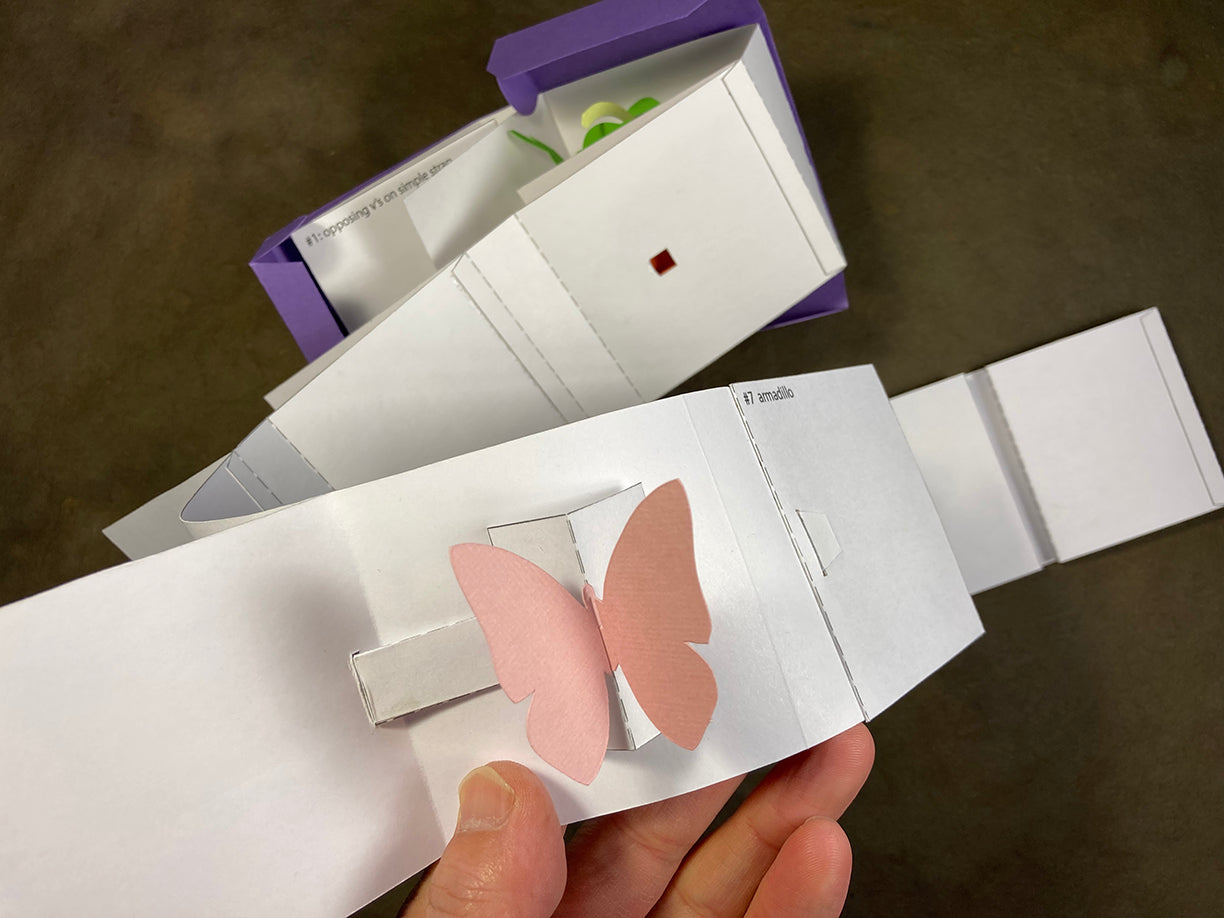 Roll-Up/Pop-Up Books: Focus on Movement 2022 image 2