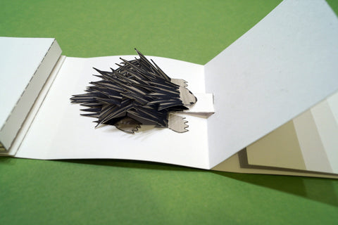 Roll-Up/Pop-Up Books: Focus on Movement 2022 image 0
