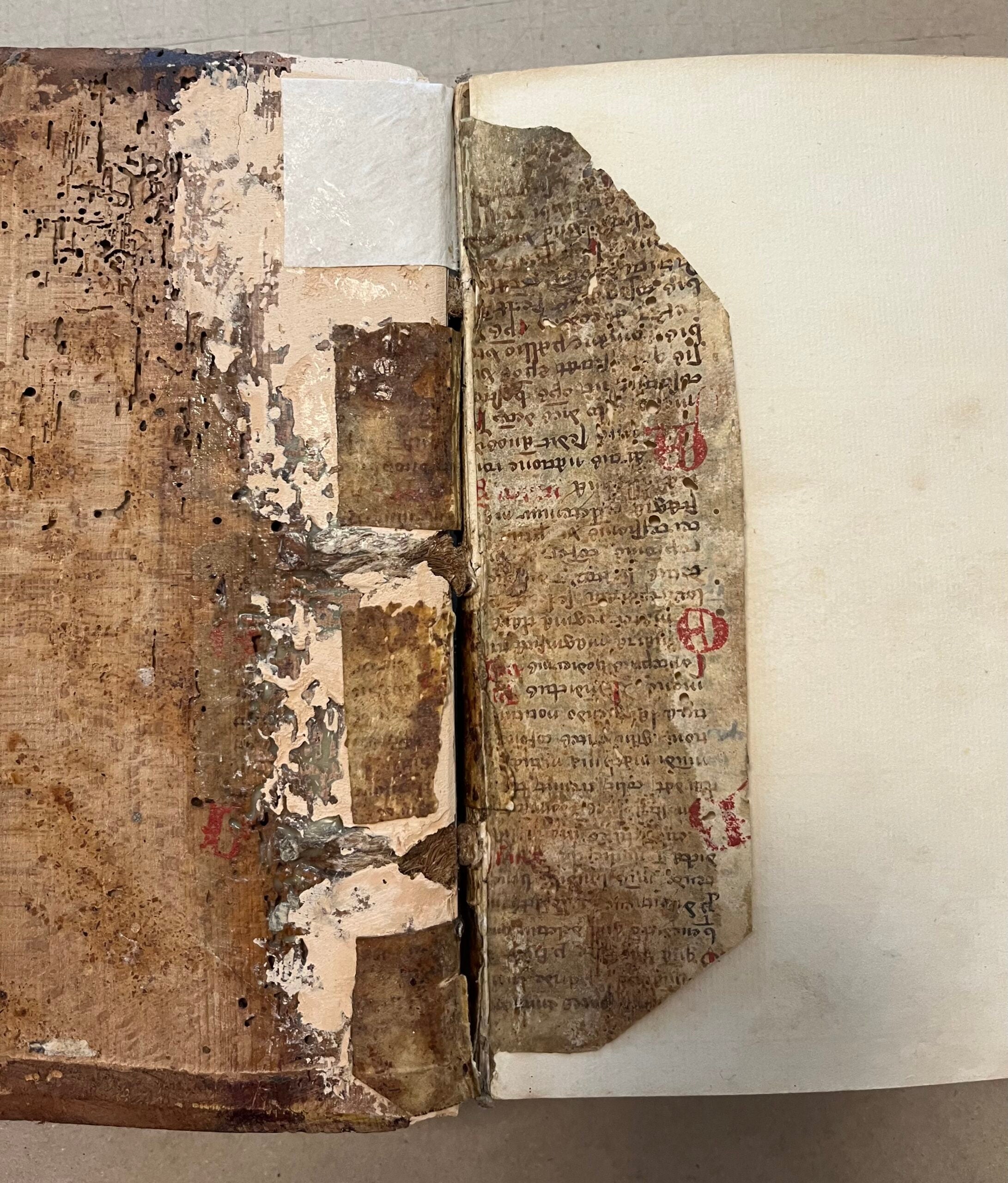 Restoration of Modern Cloth Bindings (Summer 2024) image 2