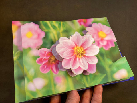 Photo Pop-Ups (Summer 2023) image 0