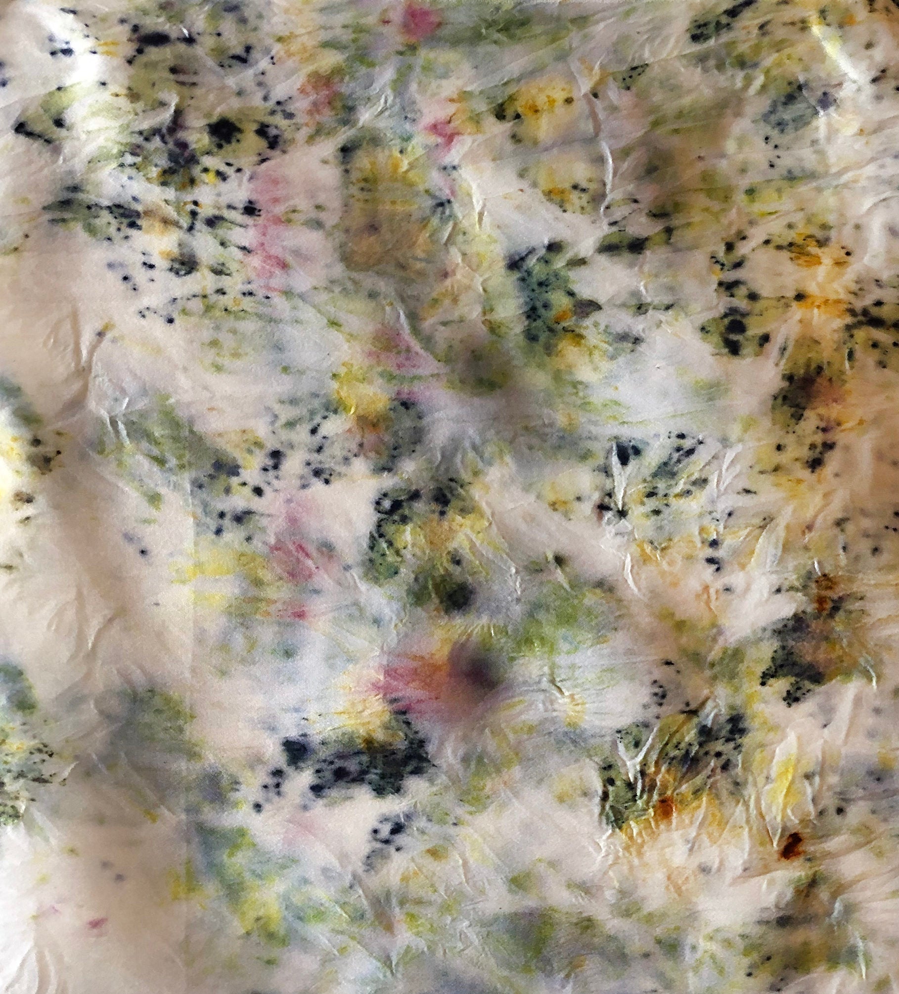 Fiber Arts as Book Arts: Natural Dyeing (Fall 2024) image 5