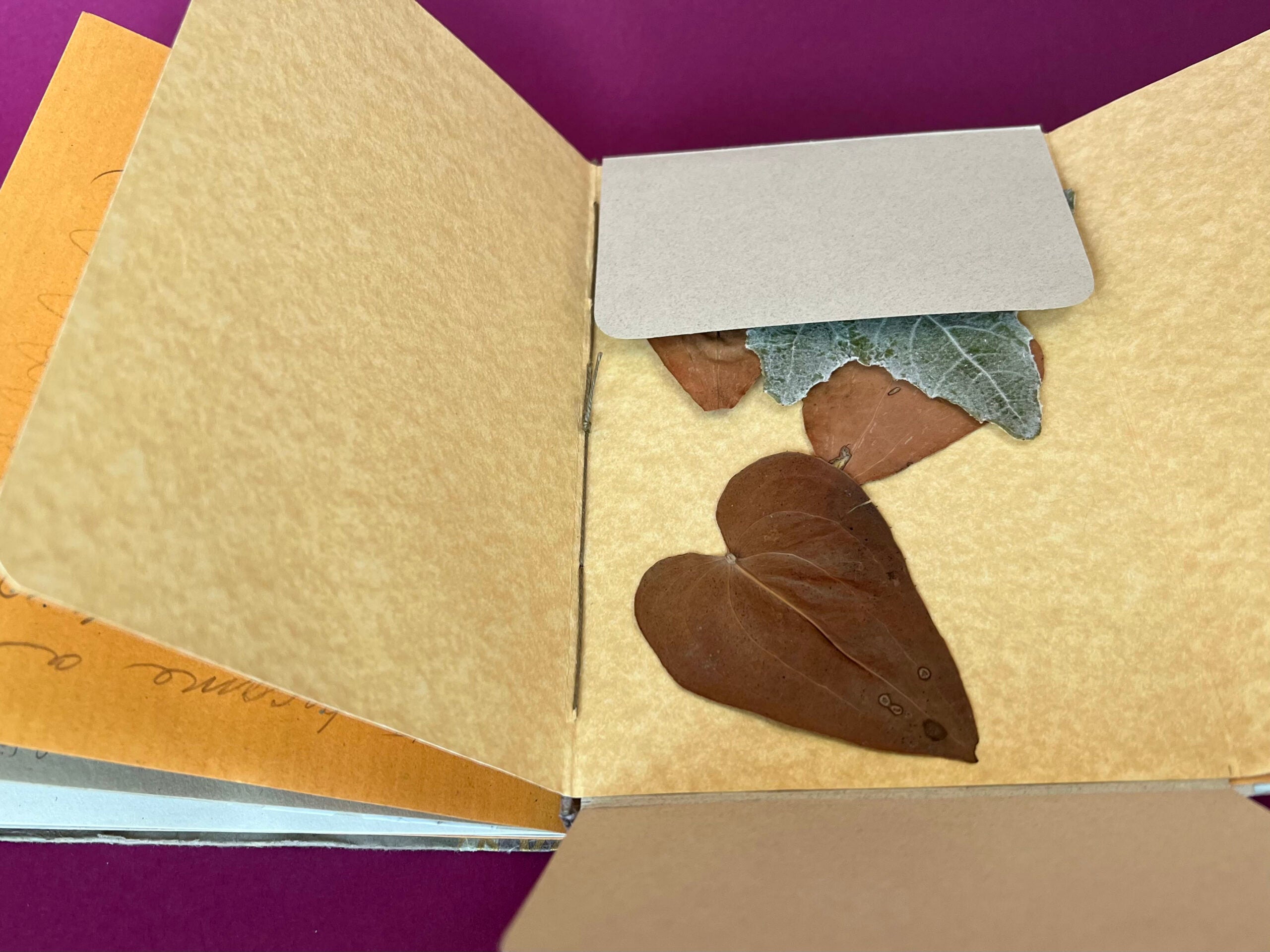 Travel Journals (Summer 2023) image 3