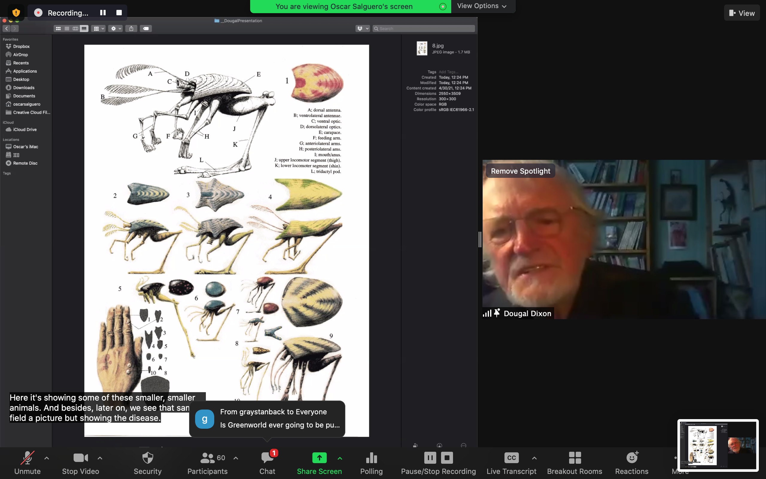Speculative Zoology: Fictitious Examples of Factual Processes image 3