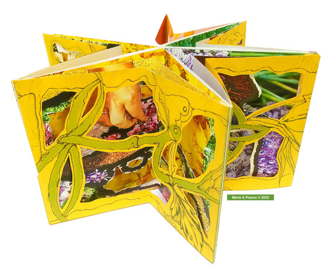 The Carousel Book image 0