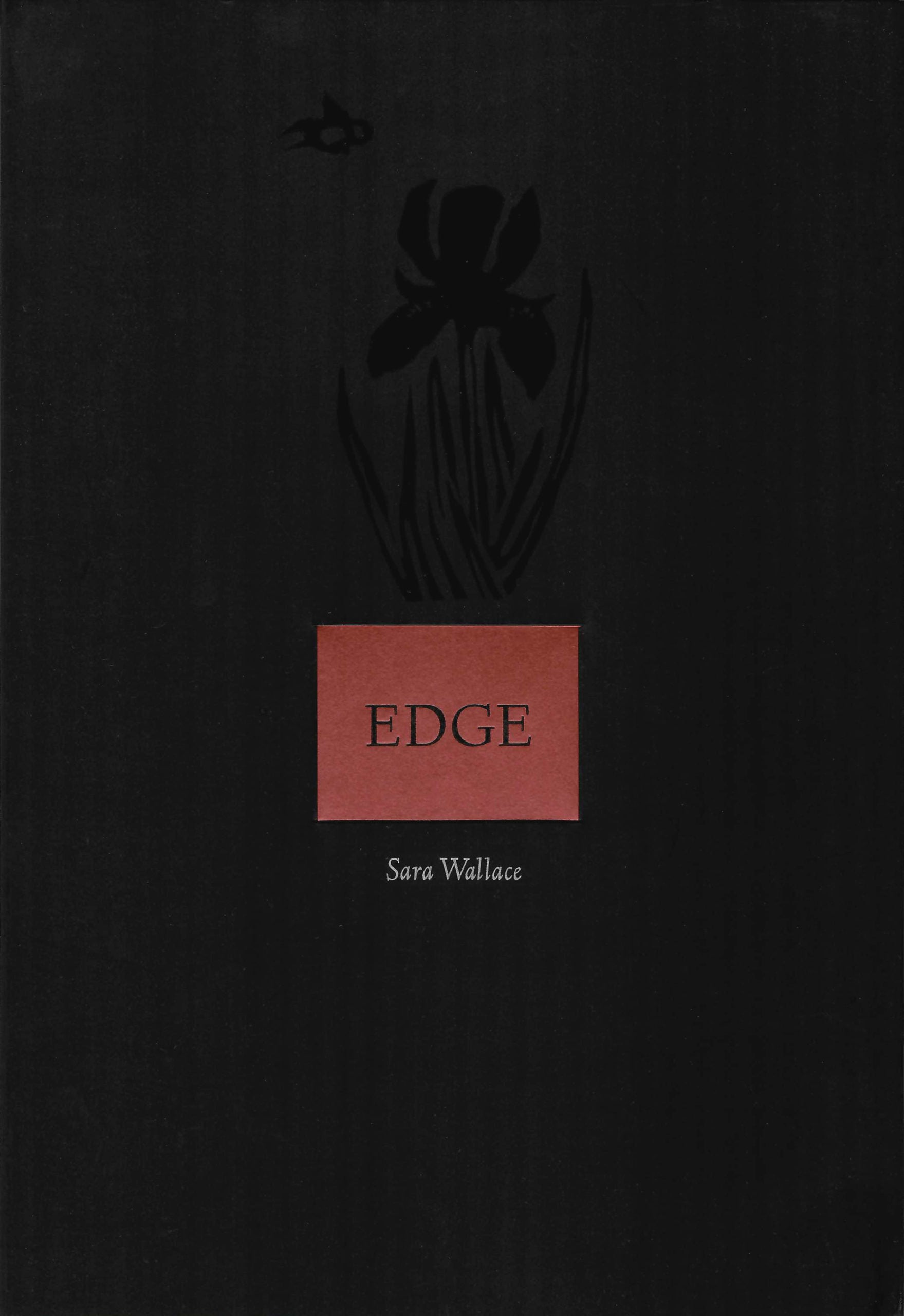 Edge image 0