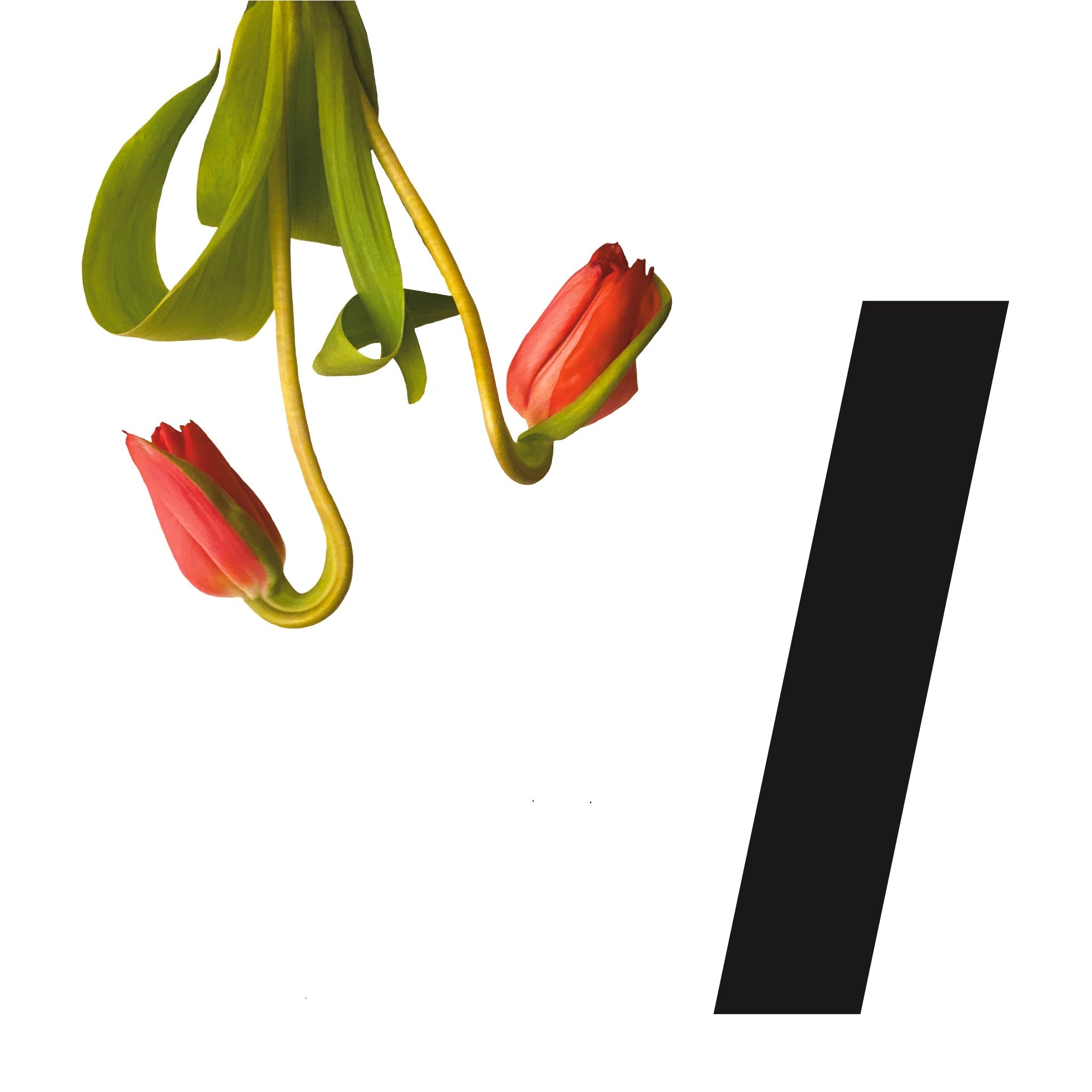 Betwixt. Spring 2022 Broadside Reading Series I image 0