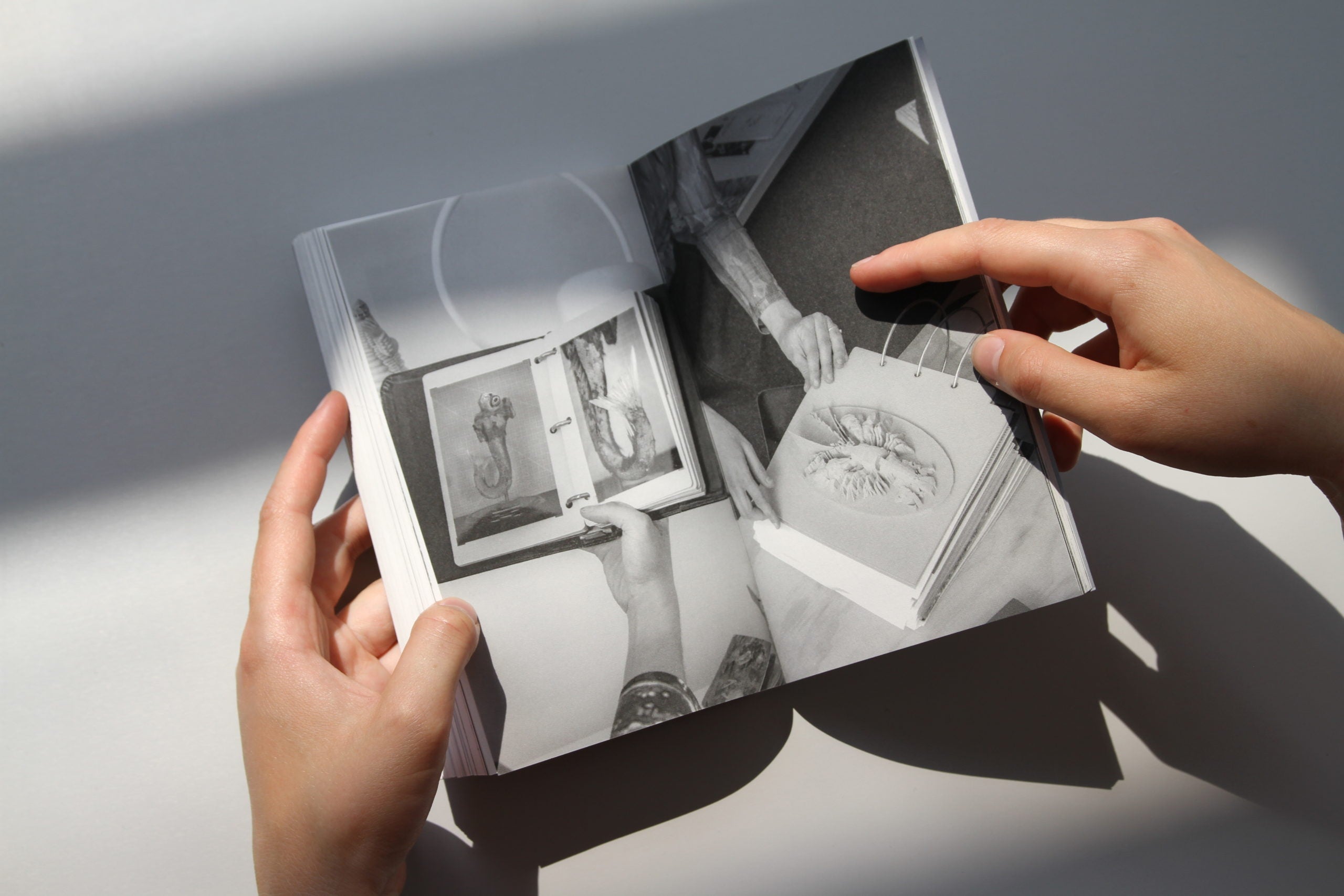 Interspecies Futures [IF] image 2