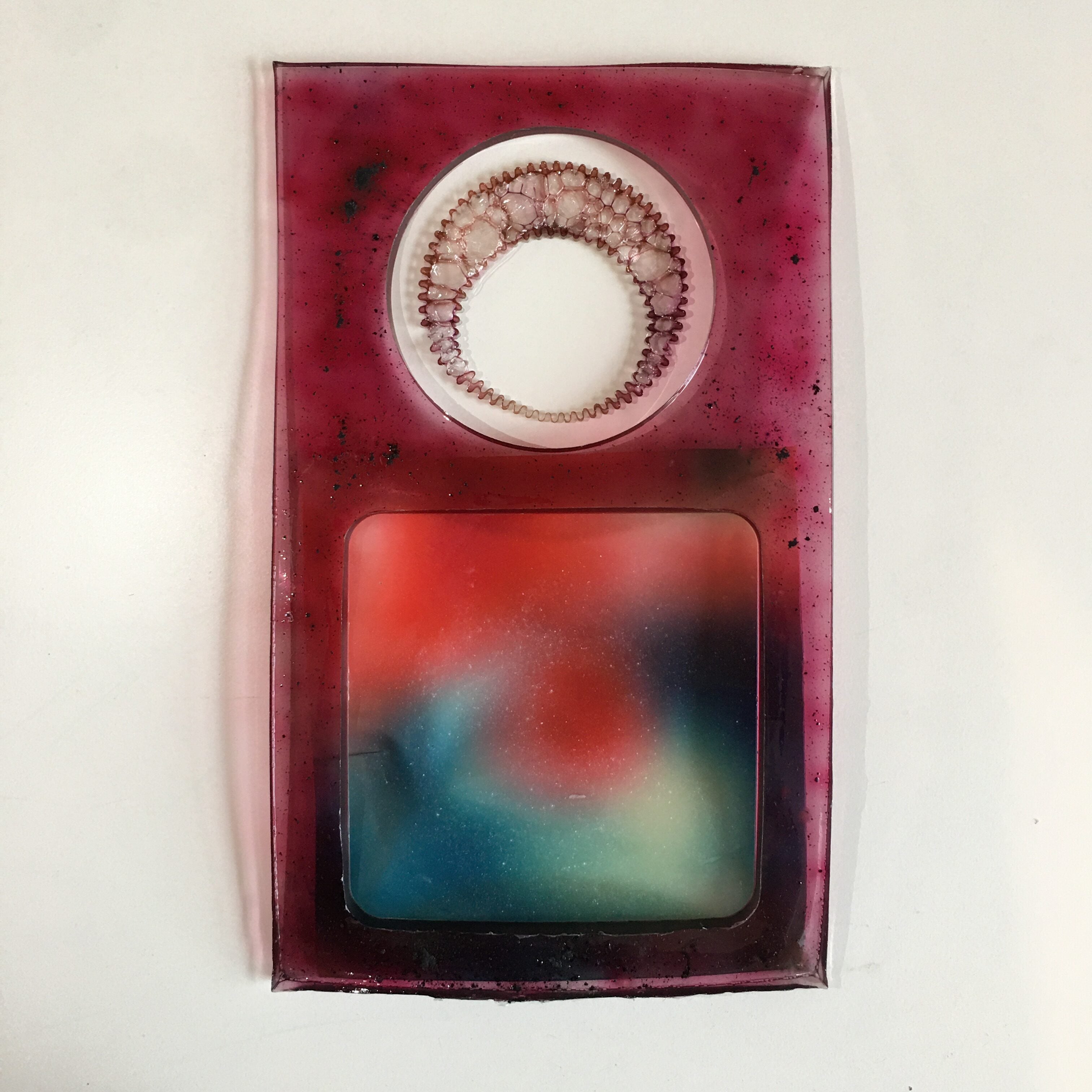 Biomaterials for Book Arts (Spring 2024) image 2