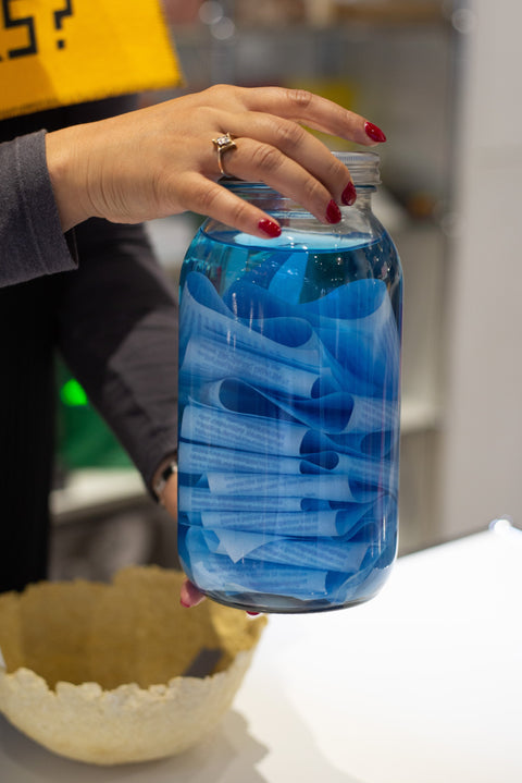 Biome of Adaptive Relations image 0